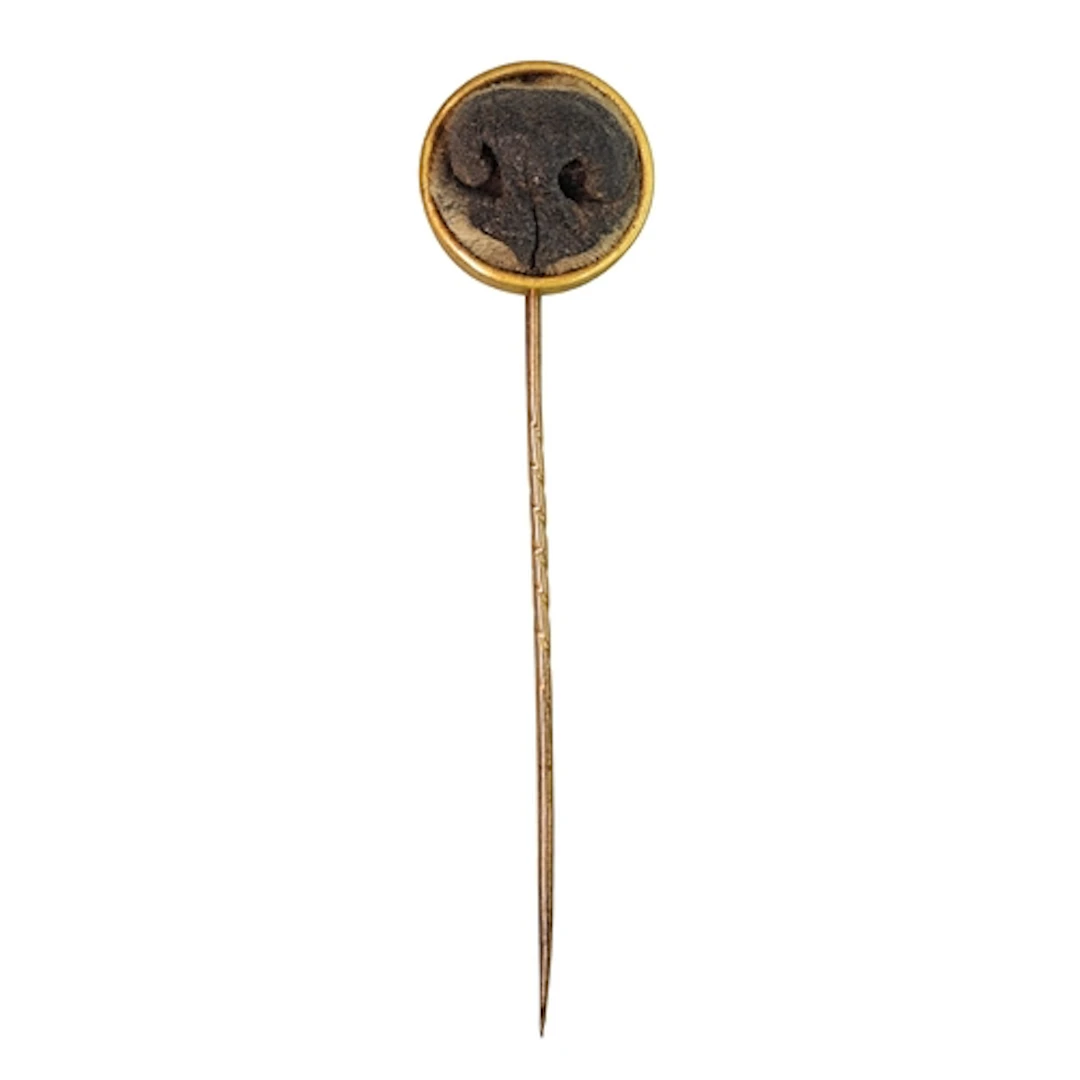 Of Taxidermy / Mourning interest. A highly unusual Victorian...