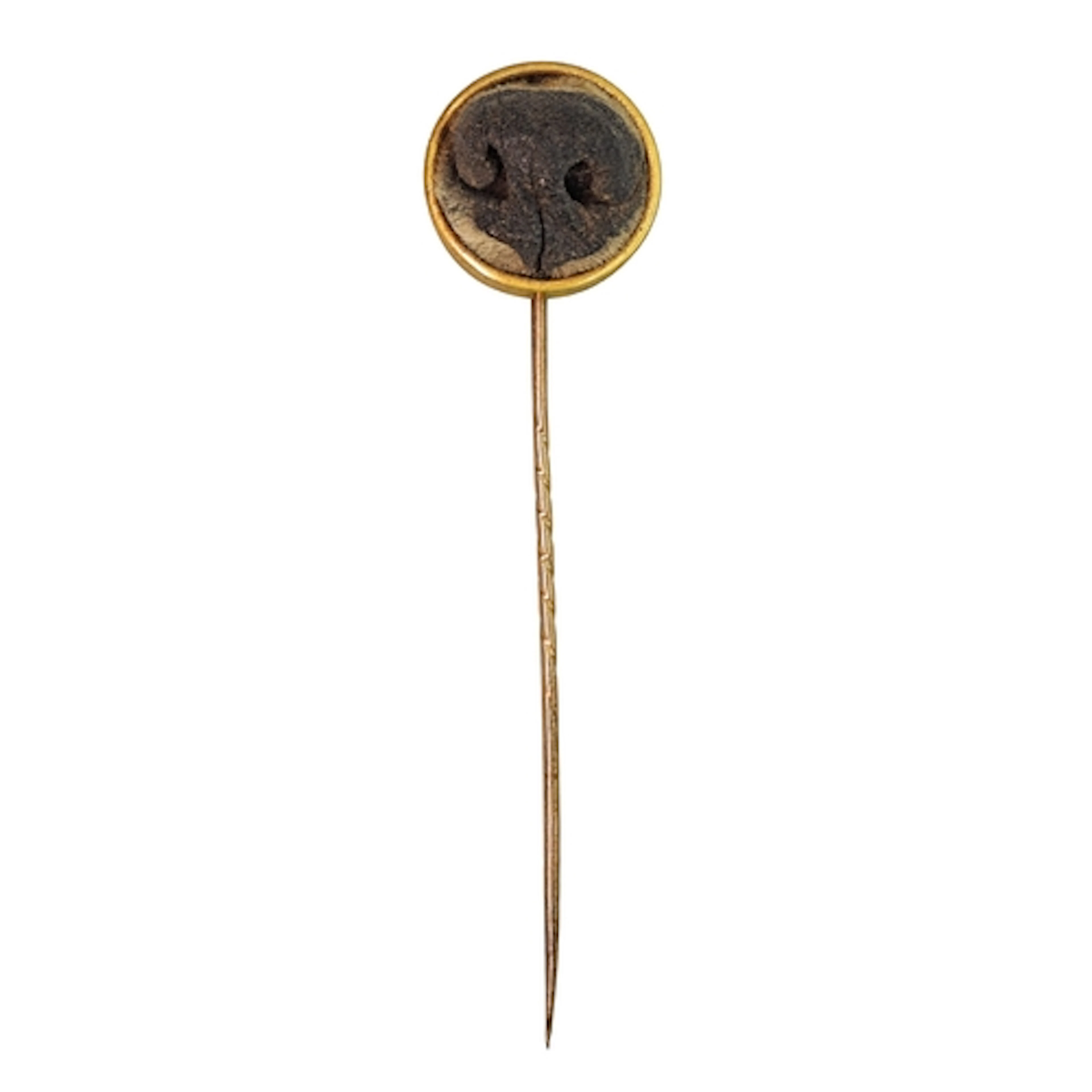 Of Taxidermy / Mourning interest. A highly unusual Victorian...