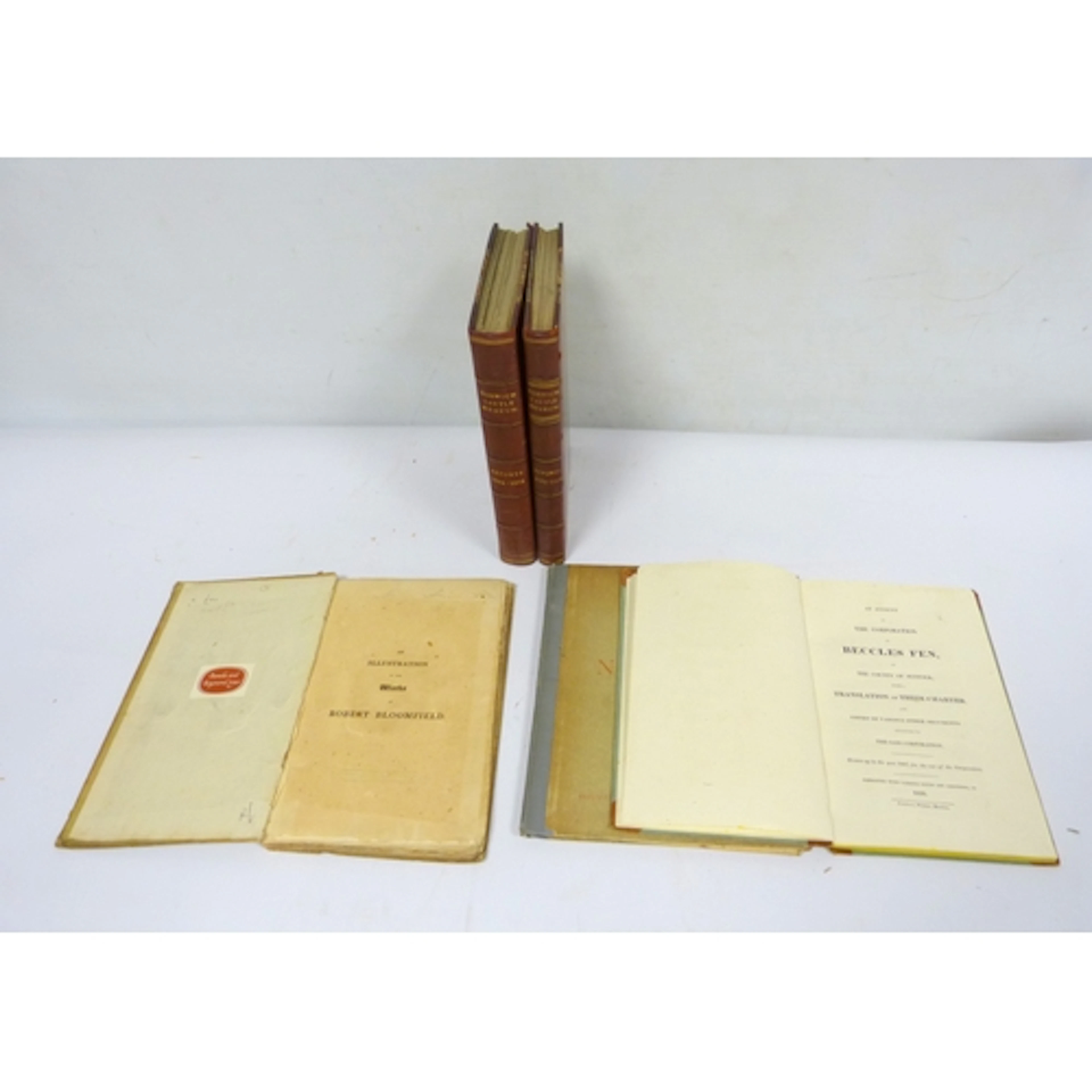 Norwich. The Report of the Castle Museum Committe...