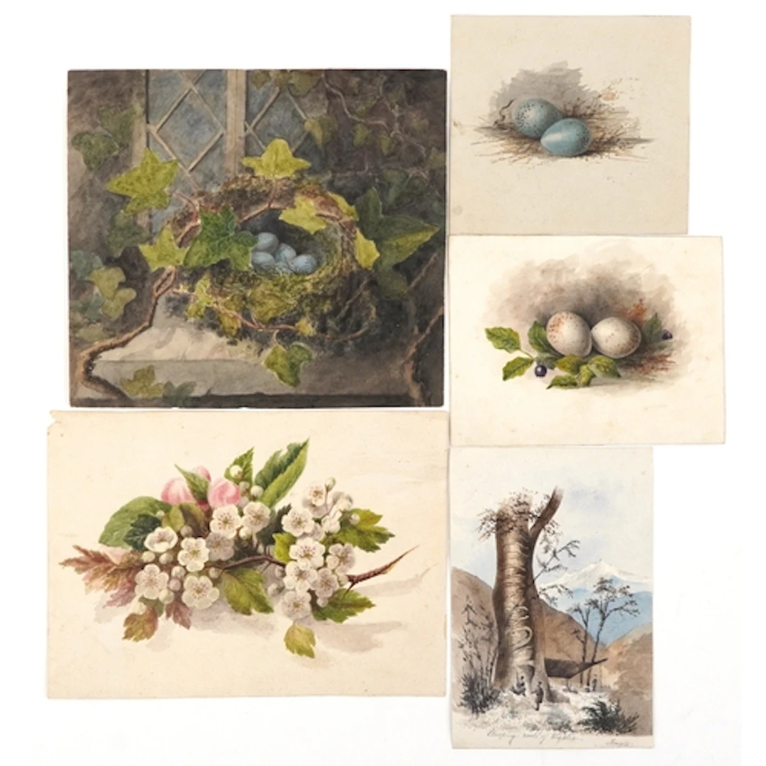 Four 19th century bird eggs and foliage still life watercolo...