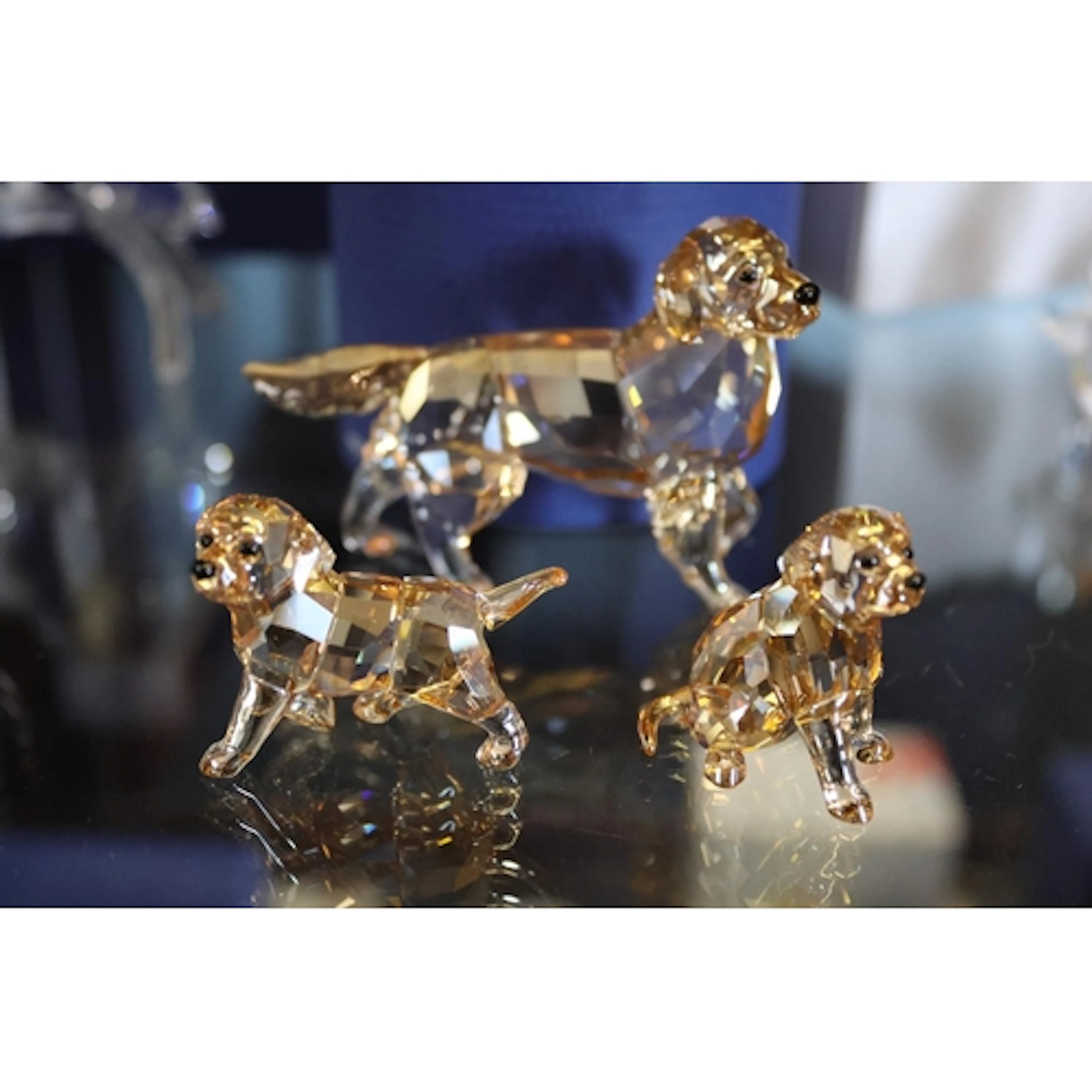 Boxed Swarovski crystal three coloured dog models (3)