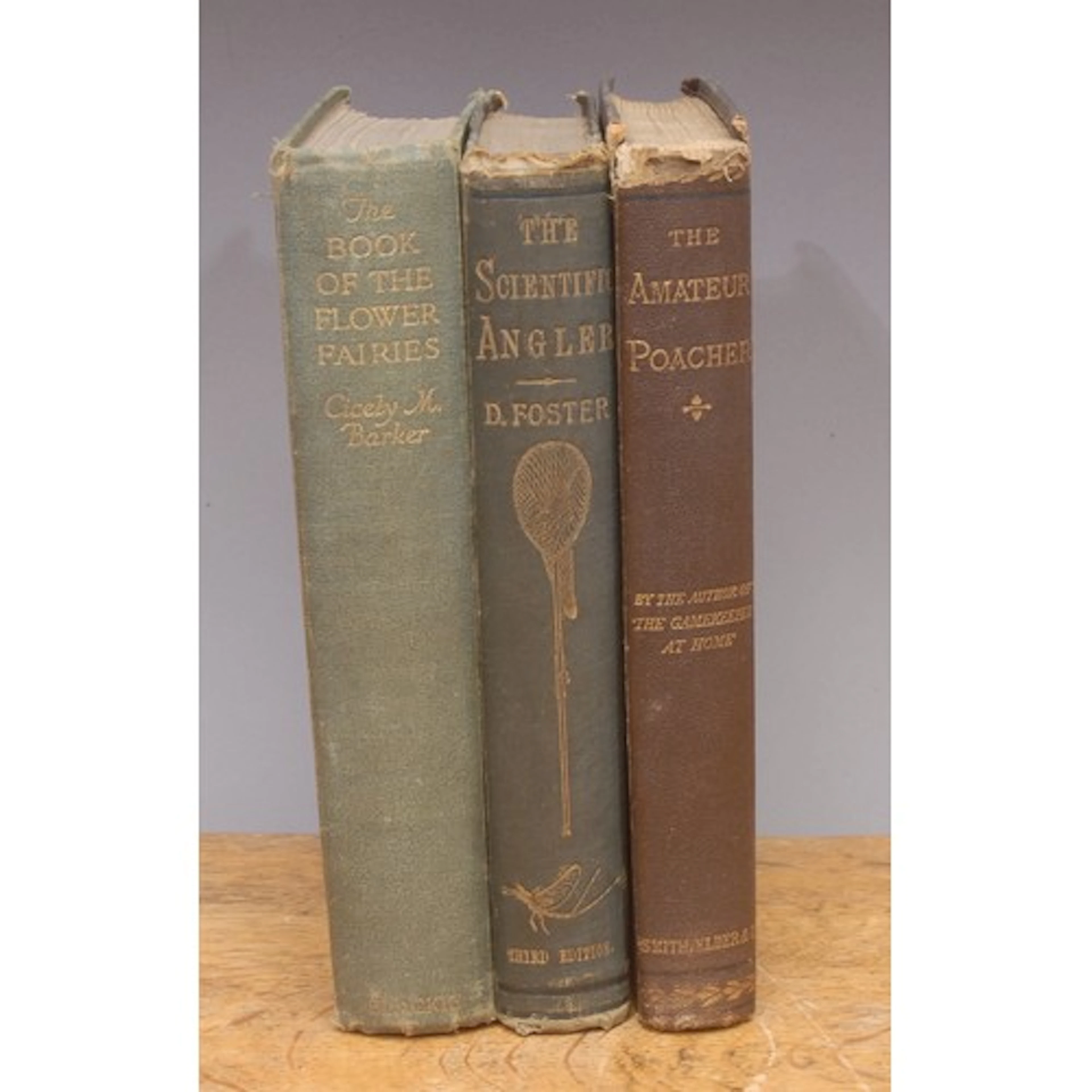 Books – country matters: Foster (David, compiled by his sons...
