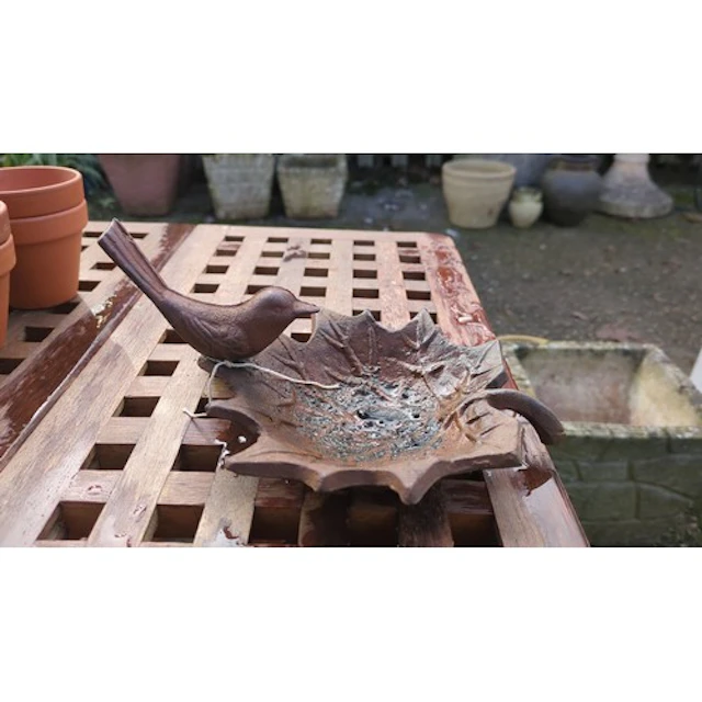 Cast-iron garden dish modelled as a veined maple leaf, with ...