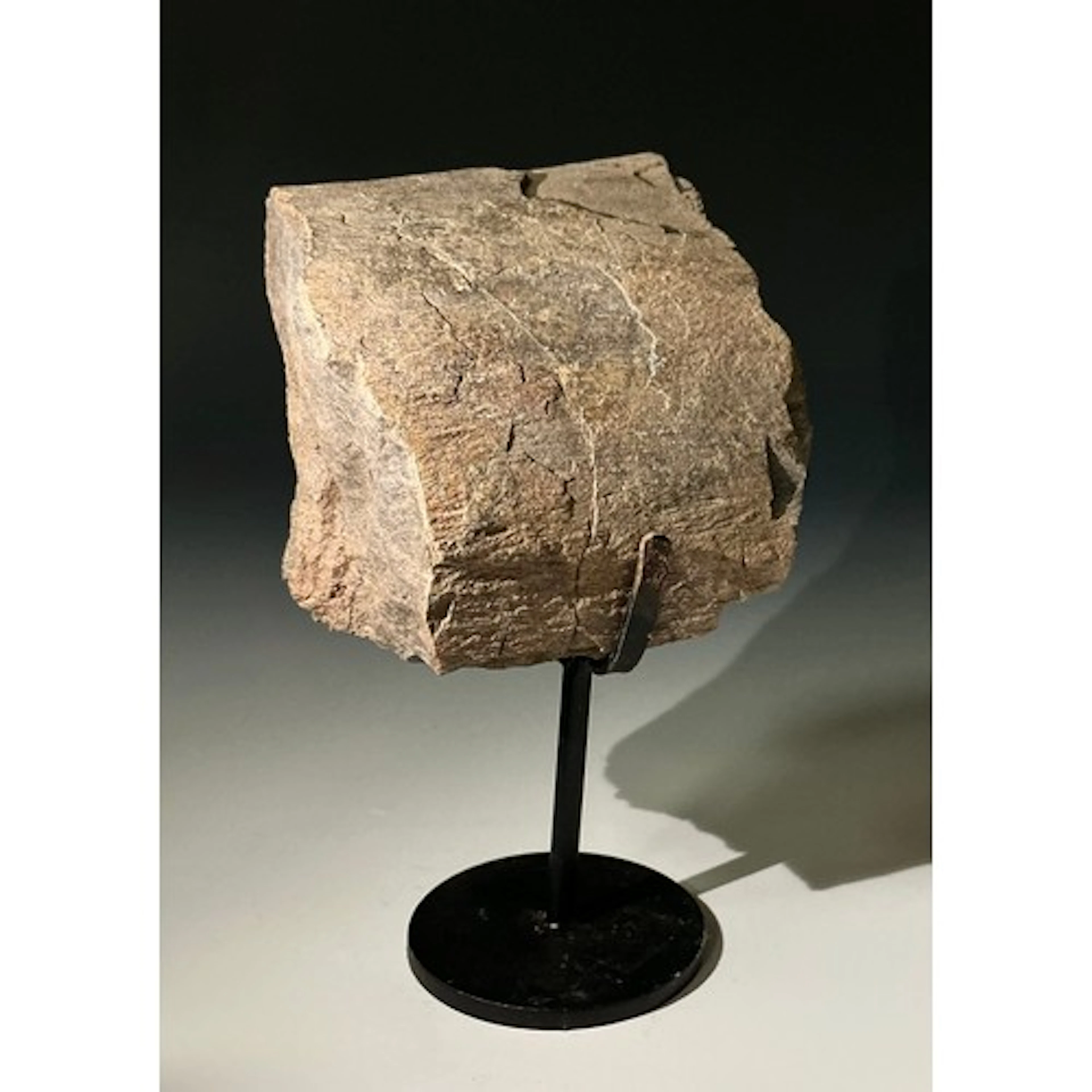 A Jurassic Period Camarasaurus vertebrae section on stand, M...