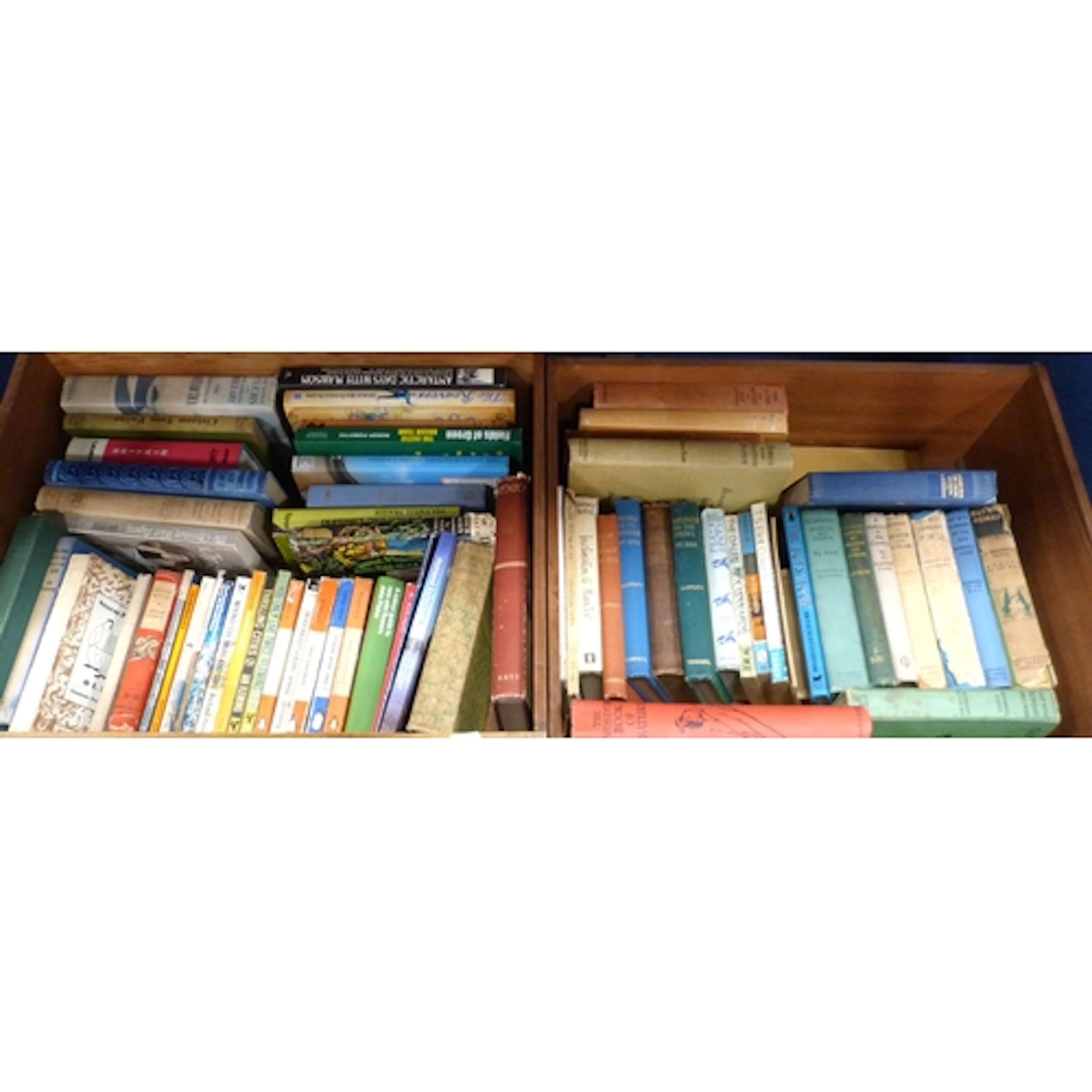 Two cartons of various books to include A Colourful Guide to...