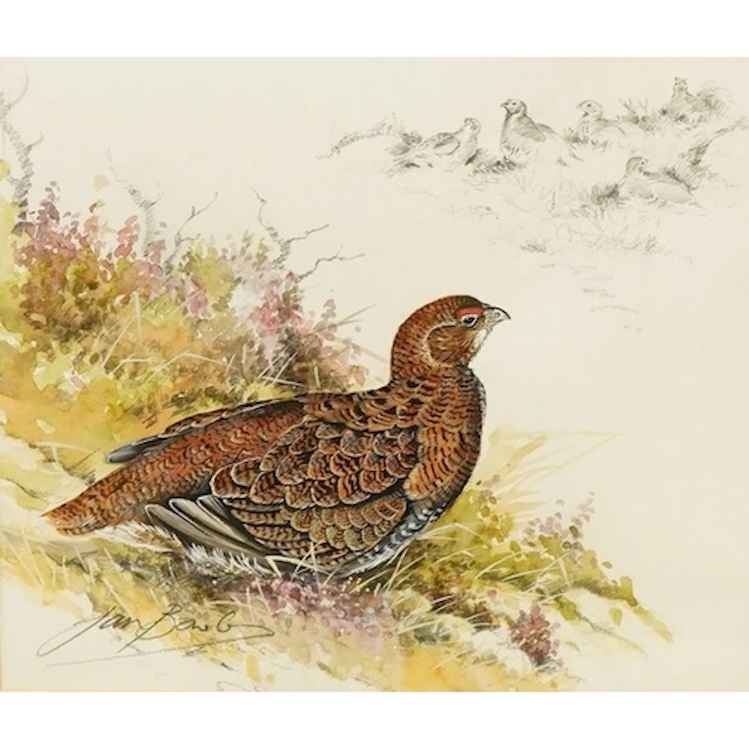Ian Bowles (1947-2018), Grouse in heather, signed, watercolo...