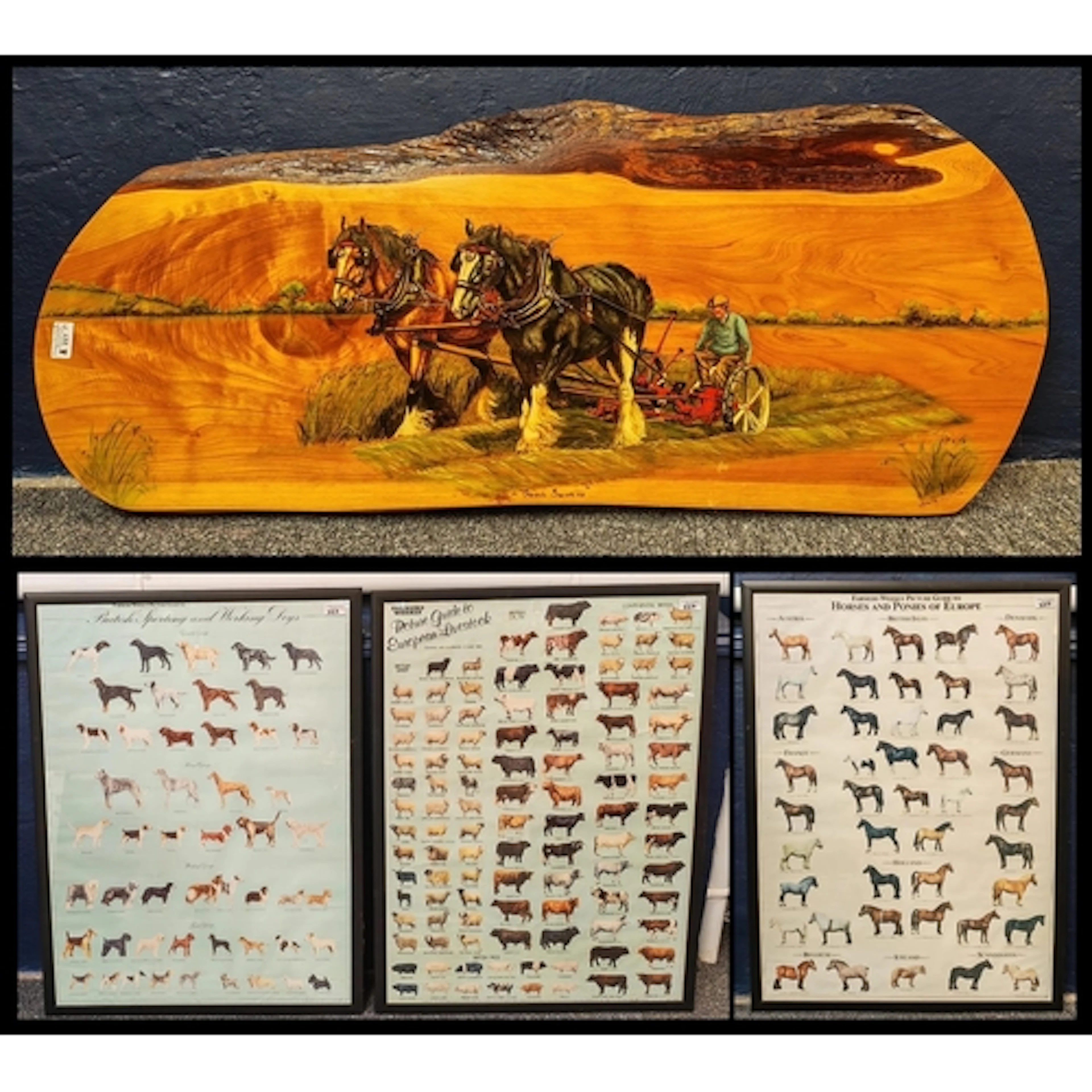 Three framed posters depicting 'European Livestock', 'Horses...