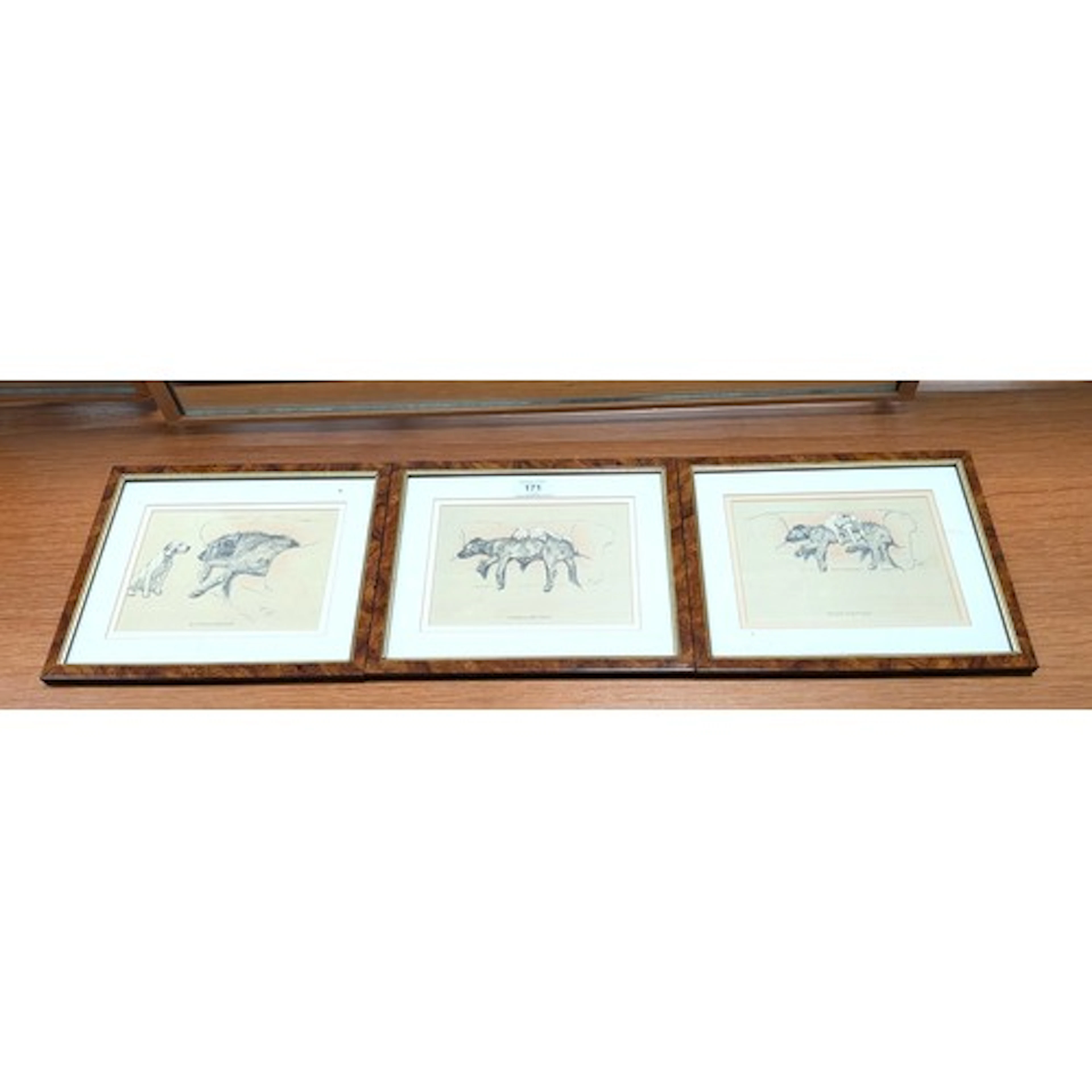 Set of three framed prints after Cecil Aldin of dogs in matc...