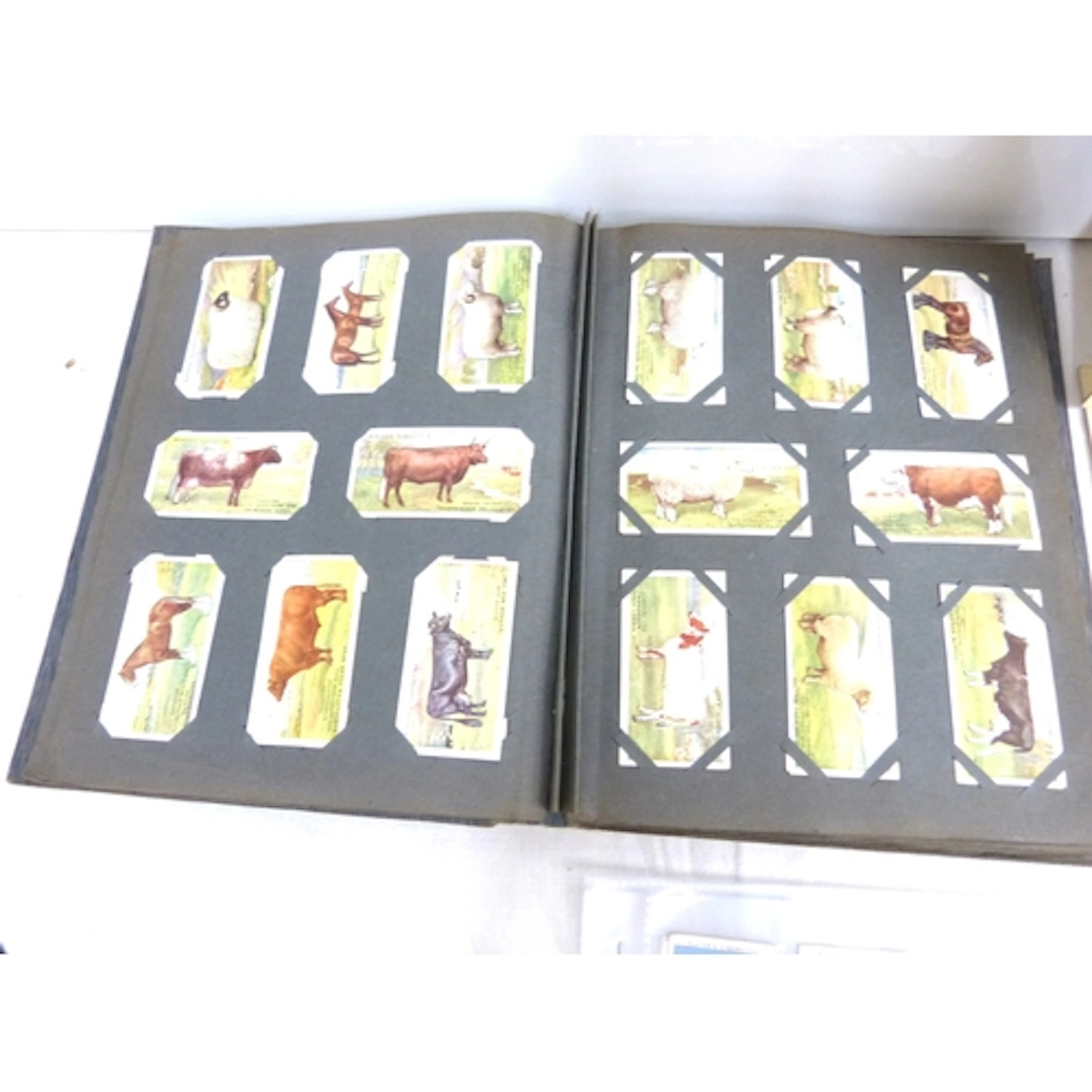 Collection of cigarette cards to include 1938 players Cricke...