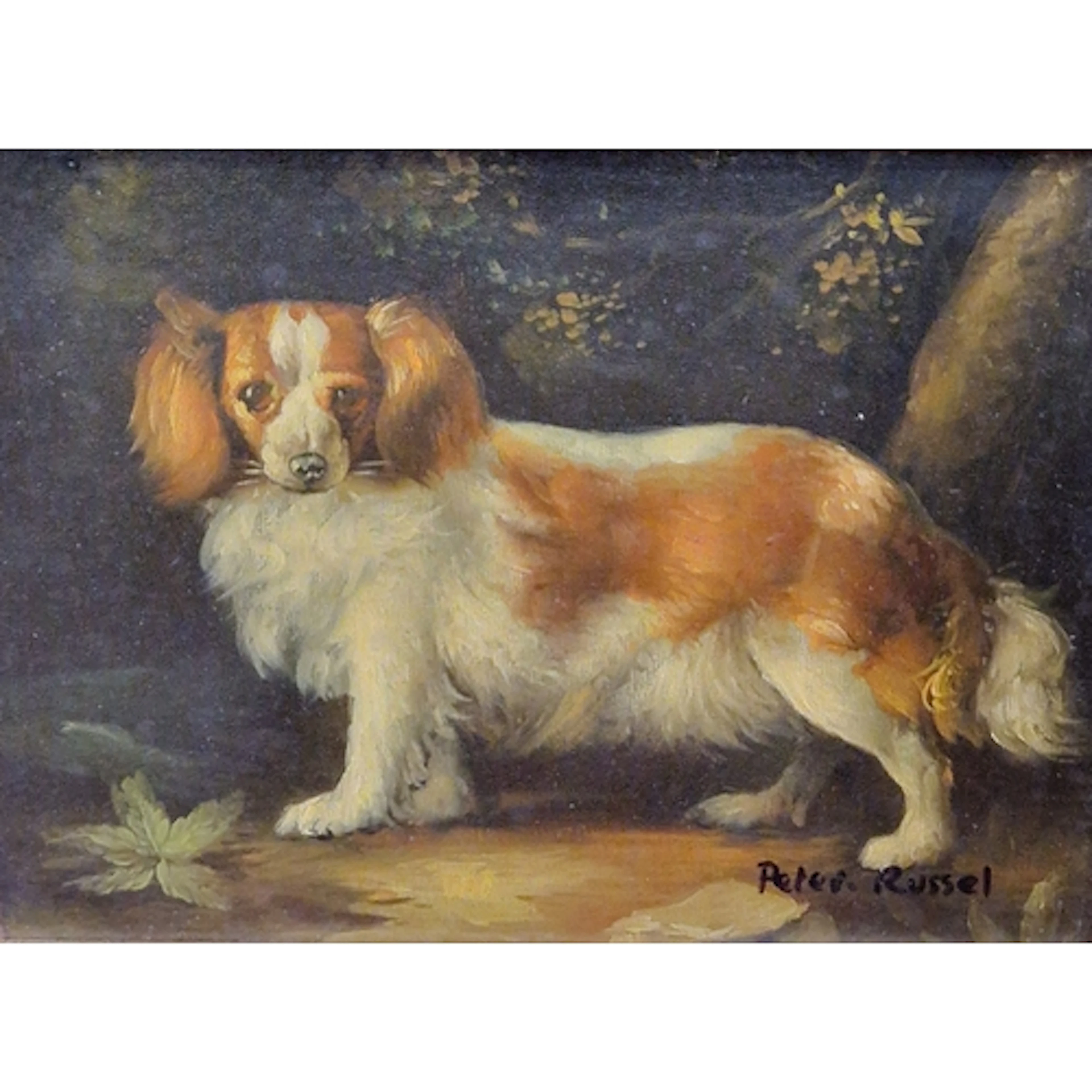 AFTER GEORGE STUBBS. Study of a Spaniel, in a forest setting...