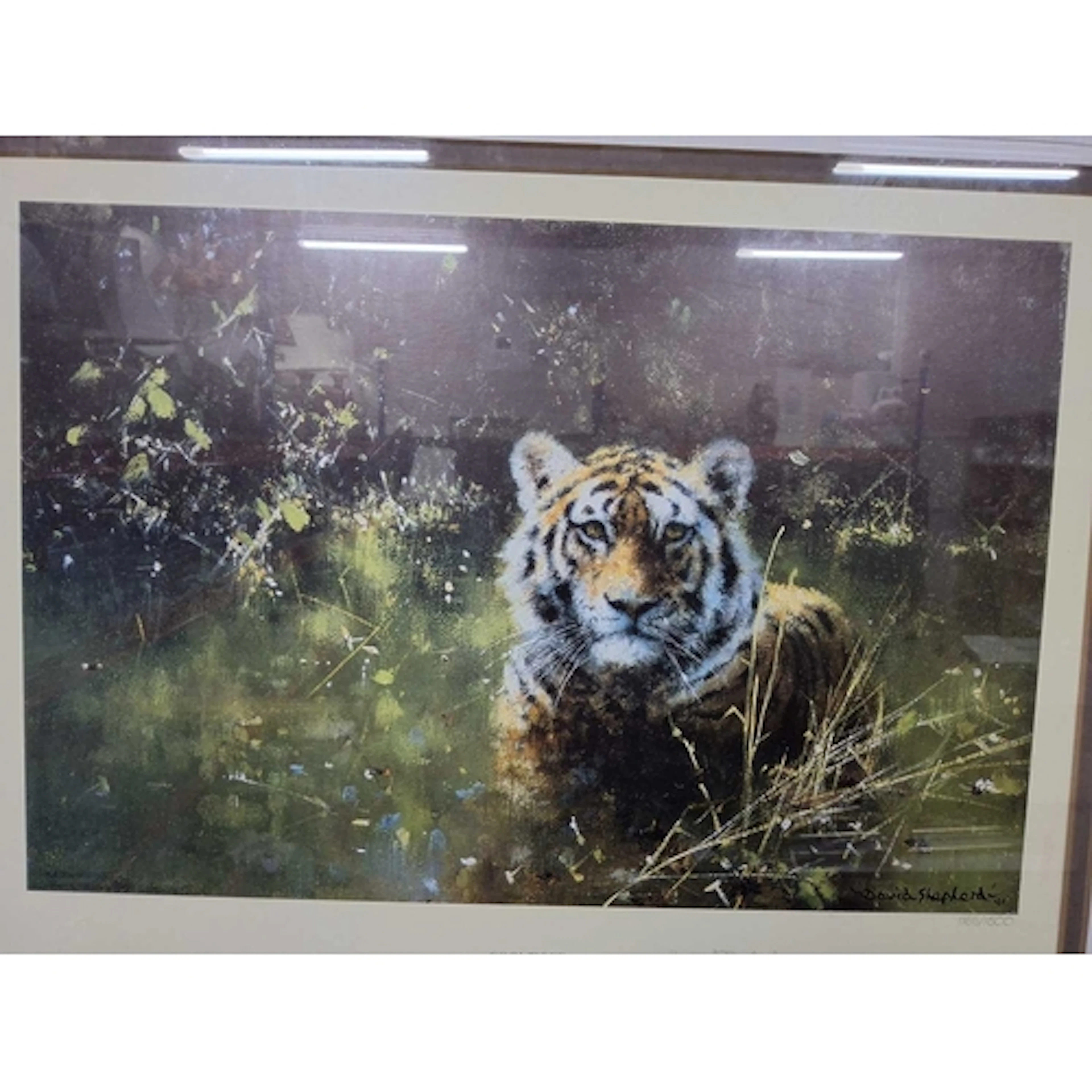 A FRAMED SIGNED LIMITED EDITION PRINT OF A TIGER BY DAVID SH...