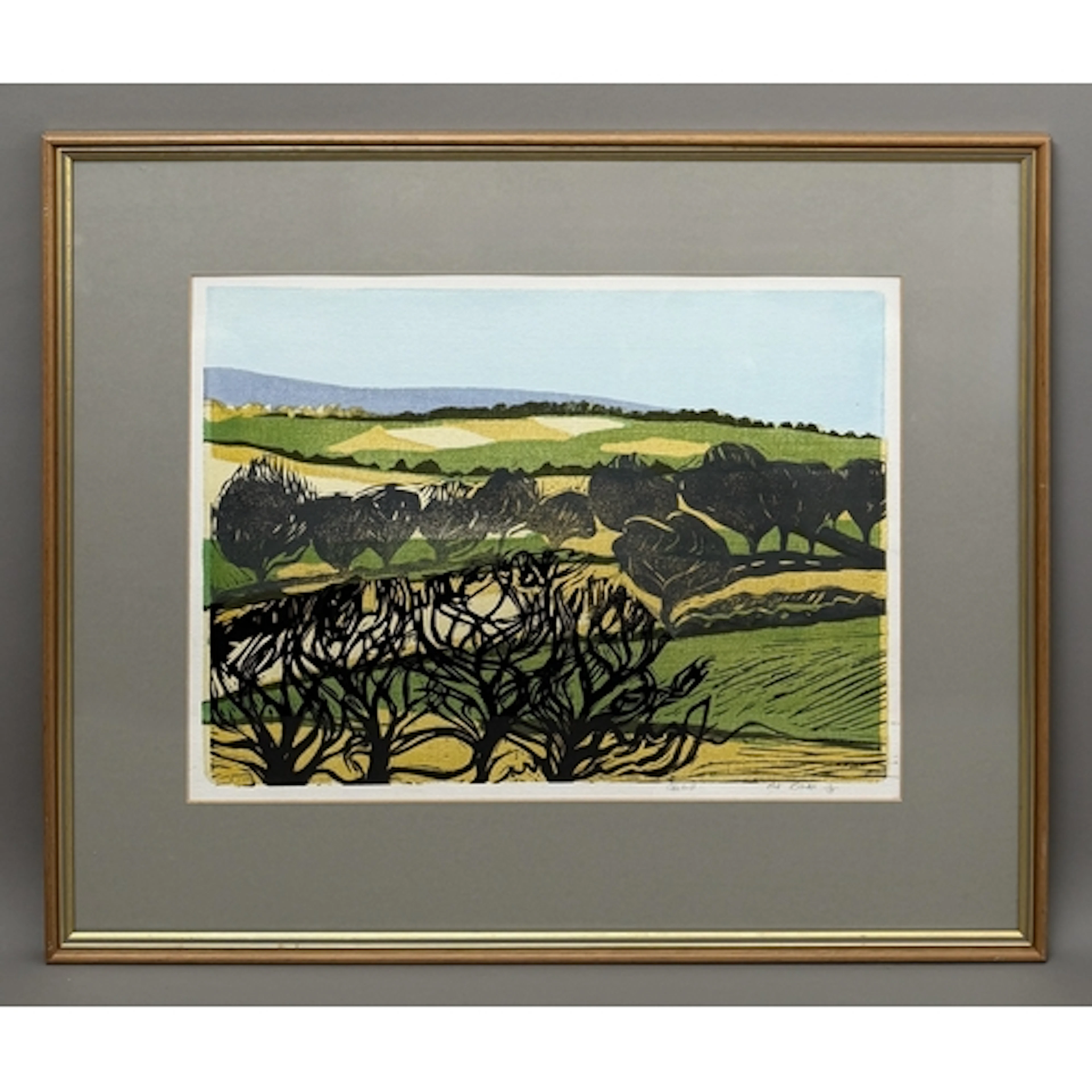 Pat Blake (British, 20th century) 'Colehill', Dorset limited...