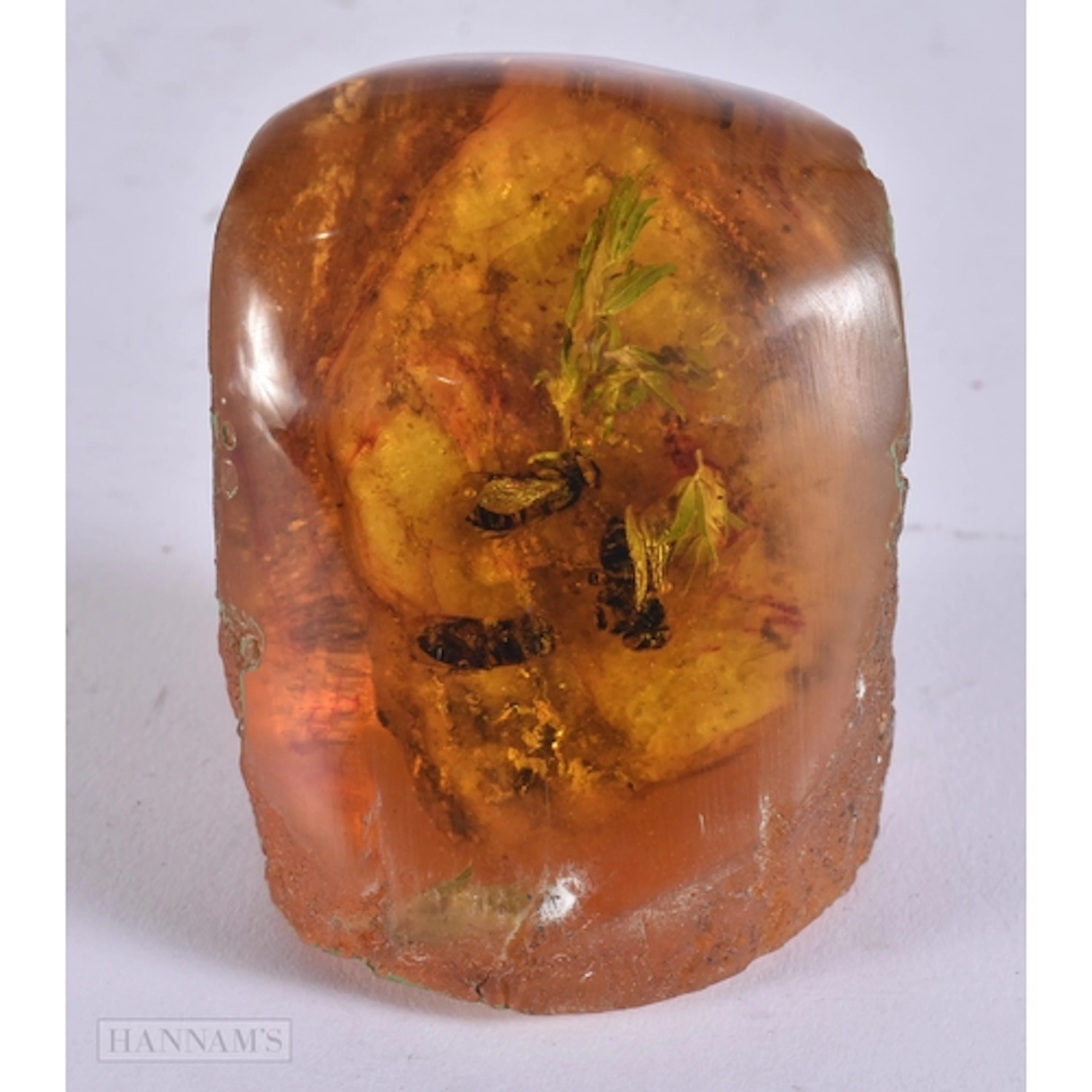 A BUG PAPERWEIGHT. 211 grams. 7 cm x 4 cm.