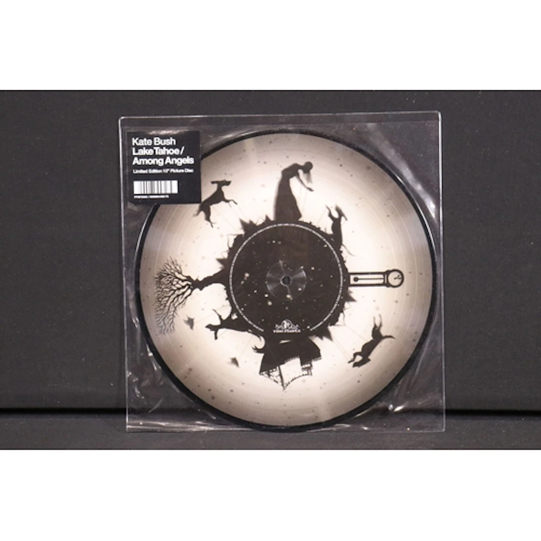 Vinyl - Kate Bush – Lake Tahoe / Among Angels picture disc 1...