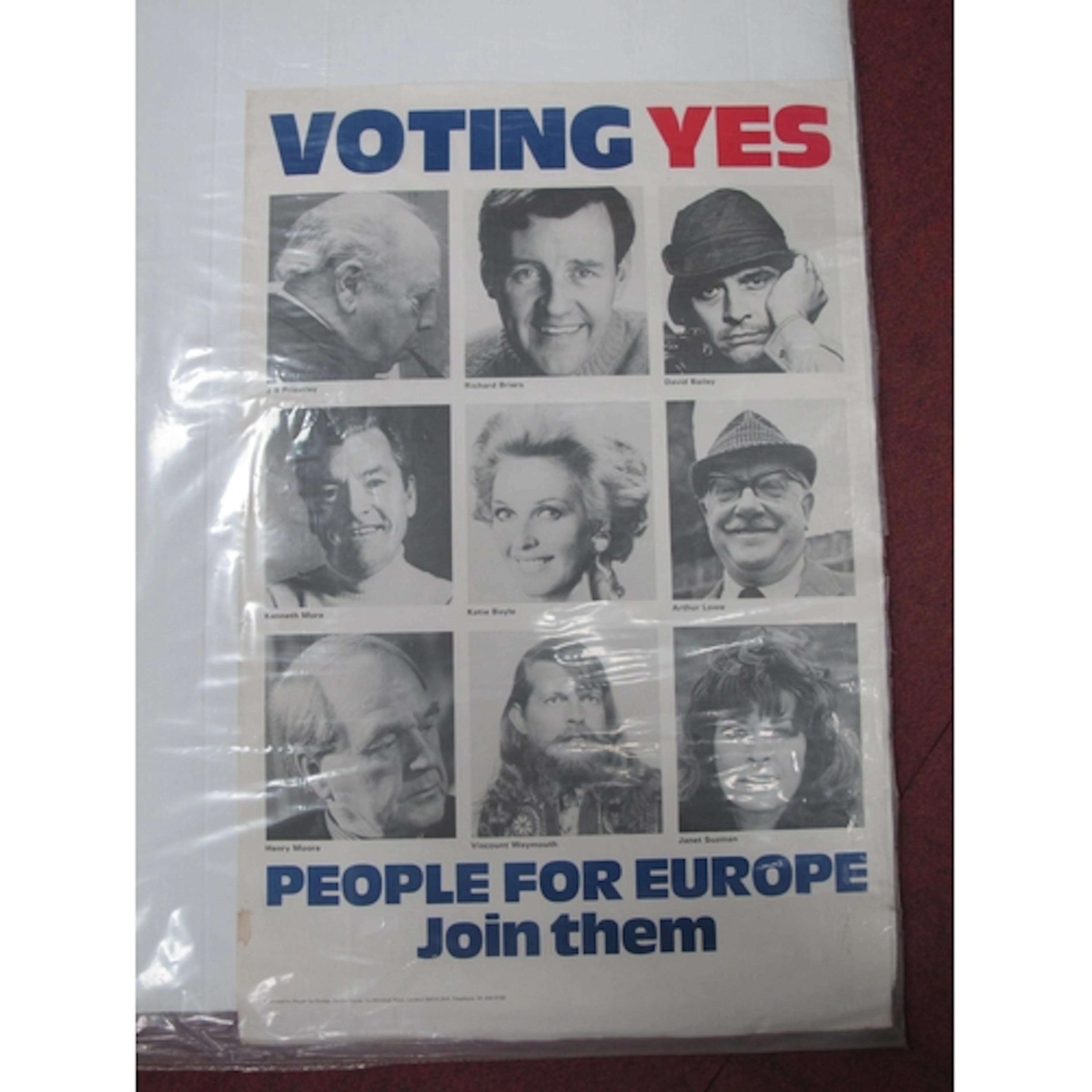 Political Poster, Voting Yes, People for Europe, Join Them, ...
