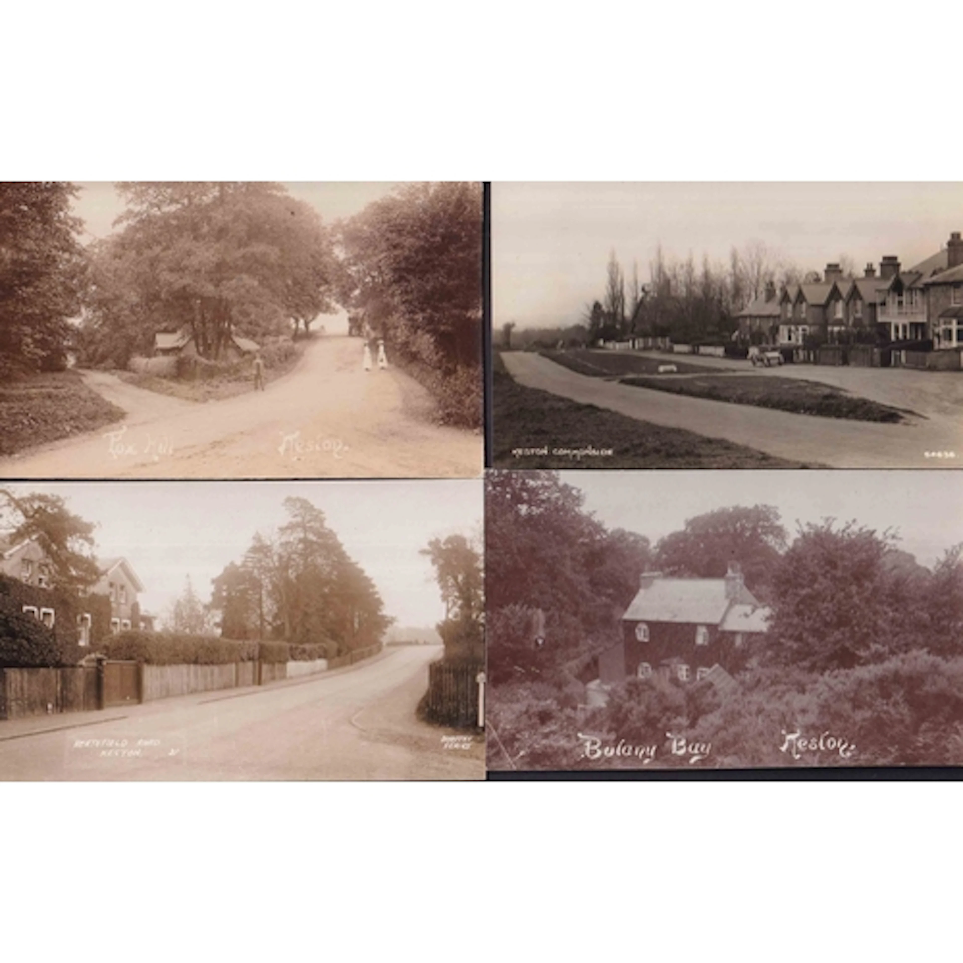 A two volume specialised study of Keston, Bromley, Greater L...