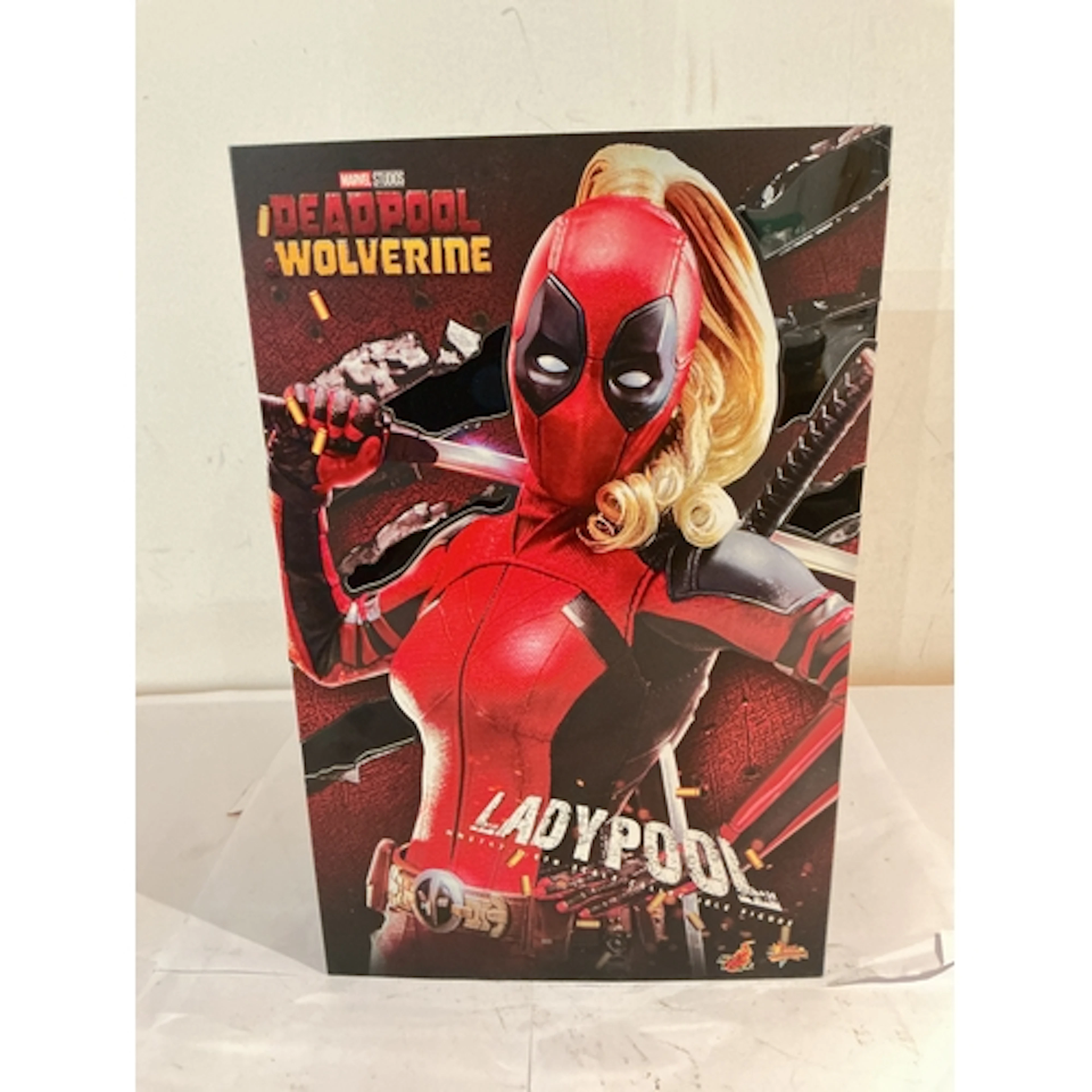 A Boxed Hot Toys Ladypool Figure. No Reserve.