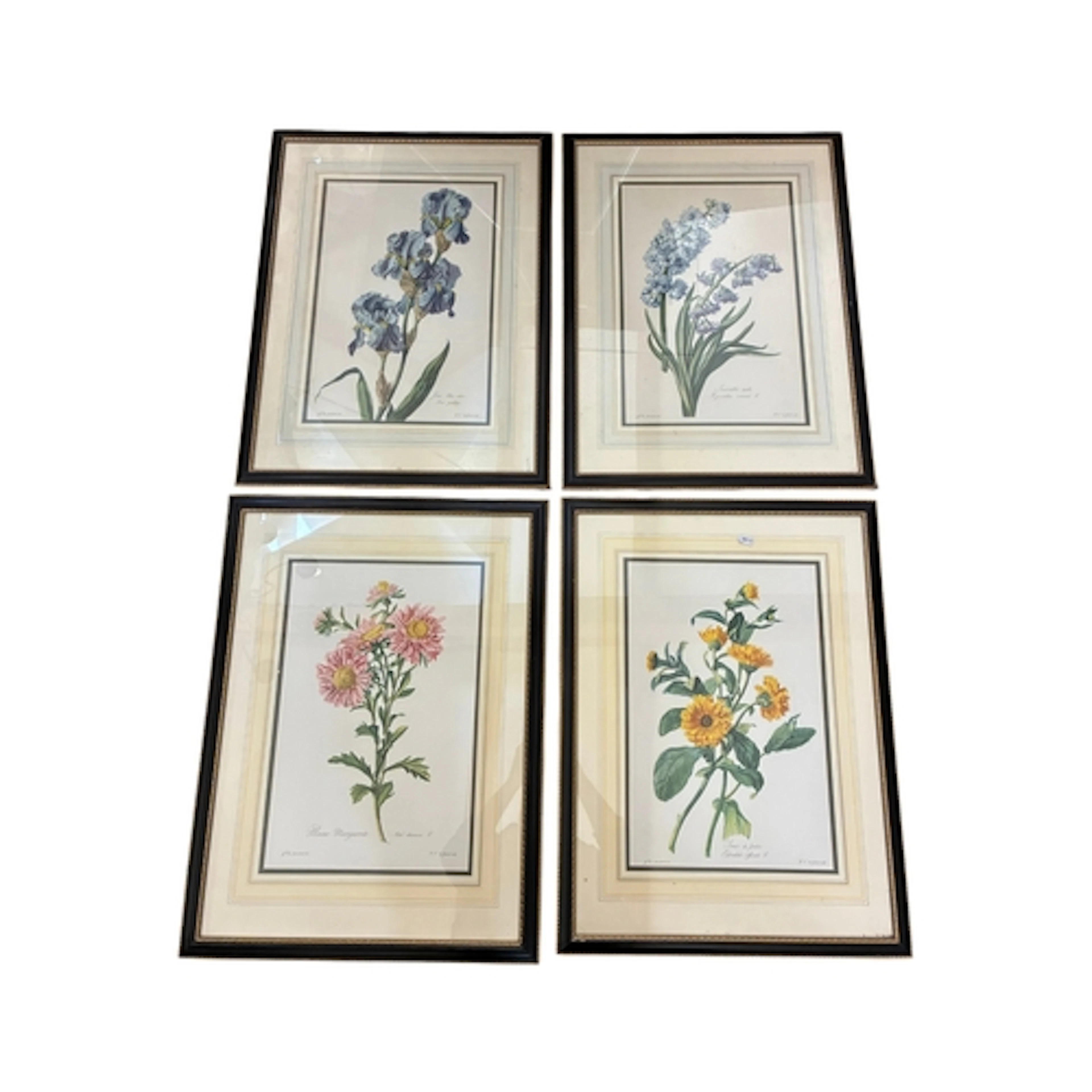 After Gerard van Spaendonck - A set of eleven prints of flow...