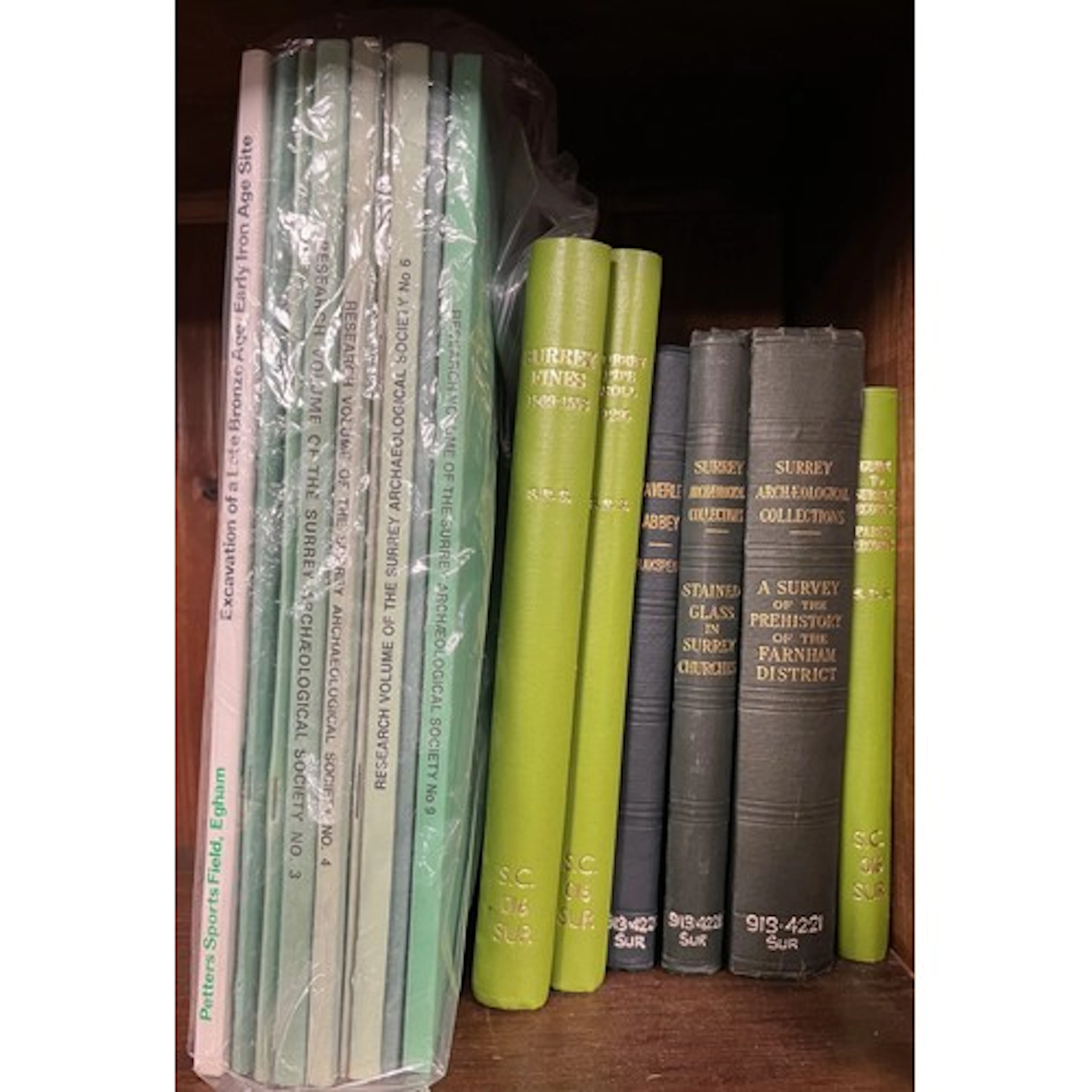 Books – Archaeology and history, Surrey Archaeological Colle...