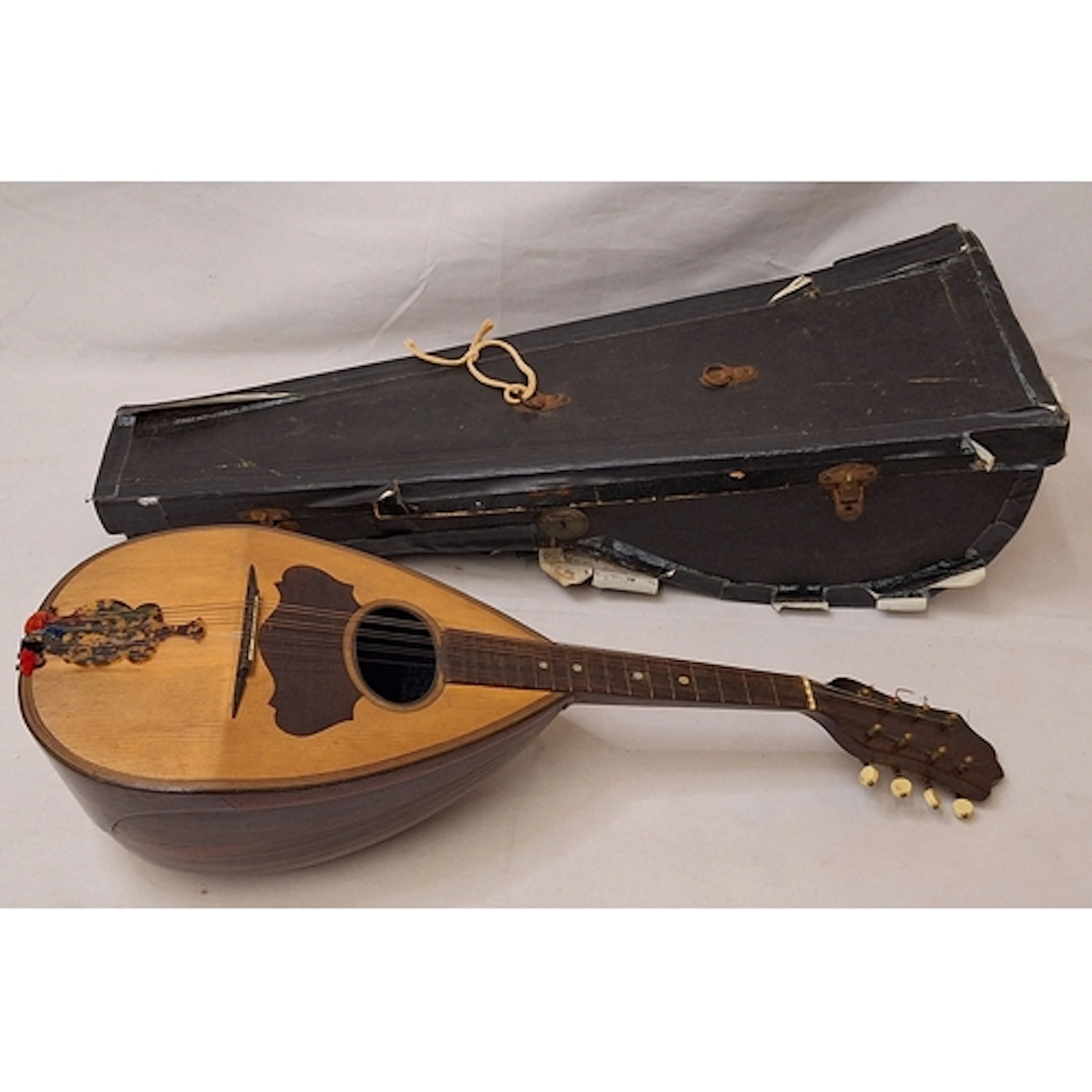 Vintage Bowl-Backed Mandolin in case