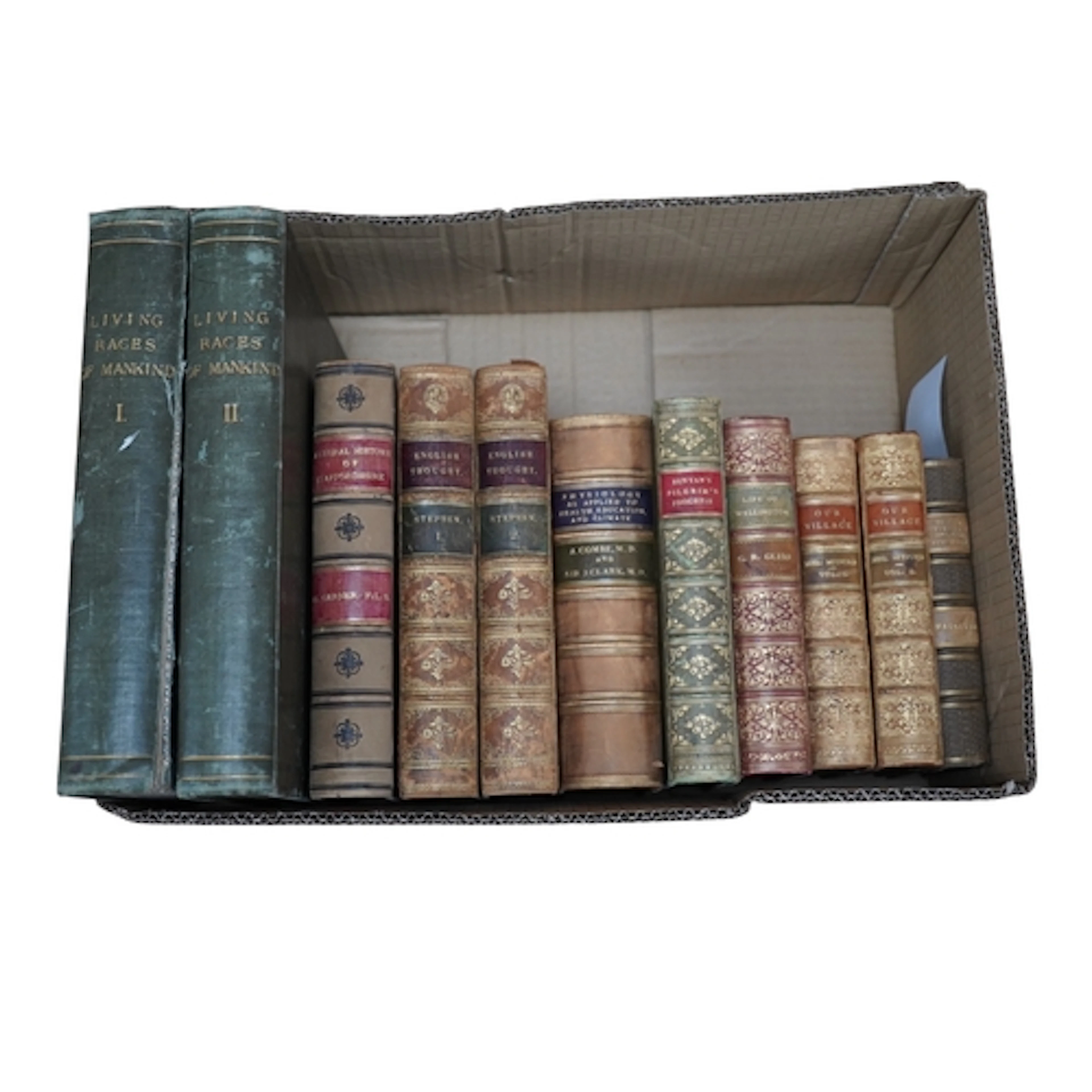 Bindings. Garner, Natural History of Staffordshire, Bunyan, ...