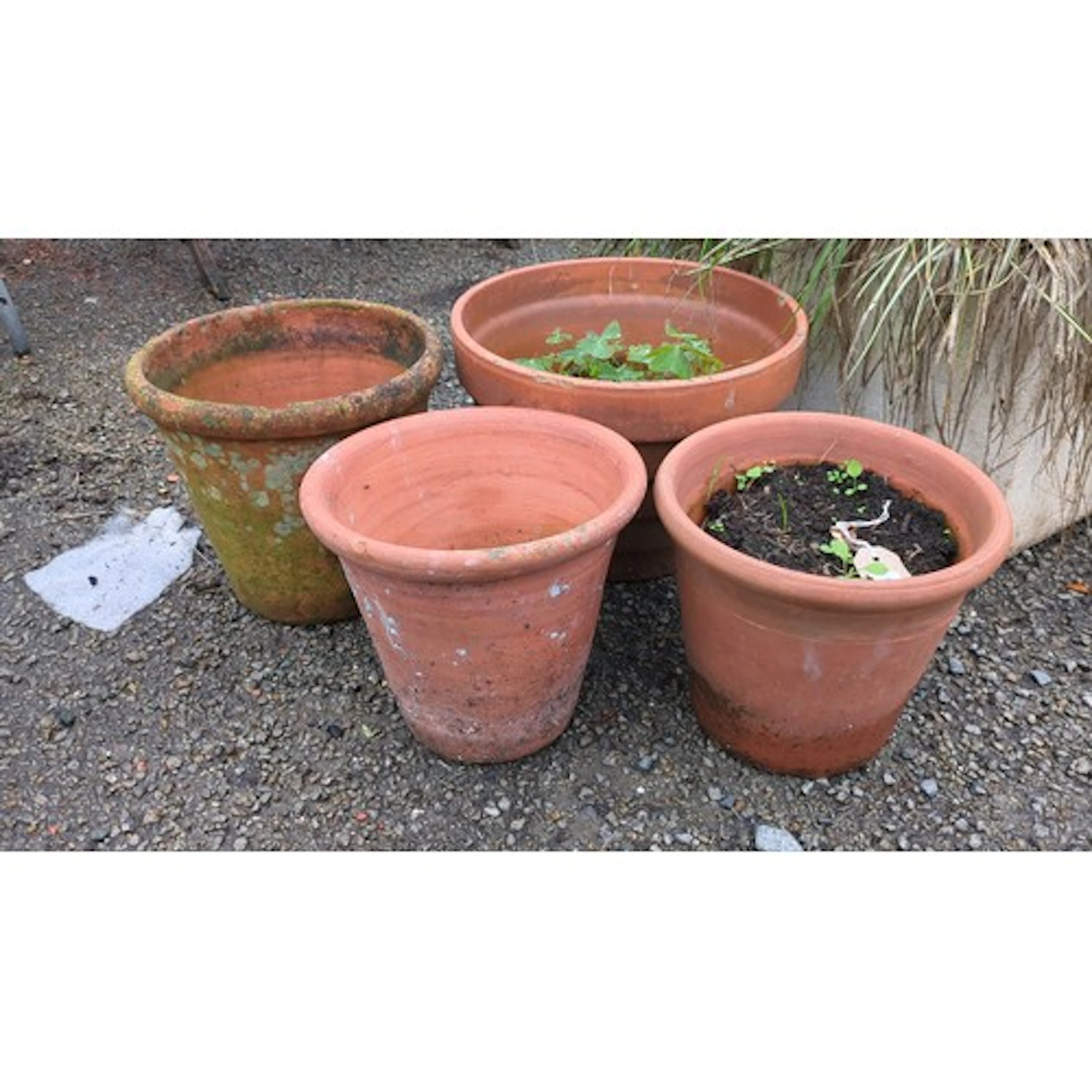 A group of terracotta garden planters, including flared tape...