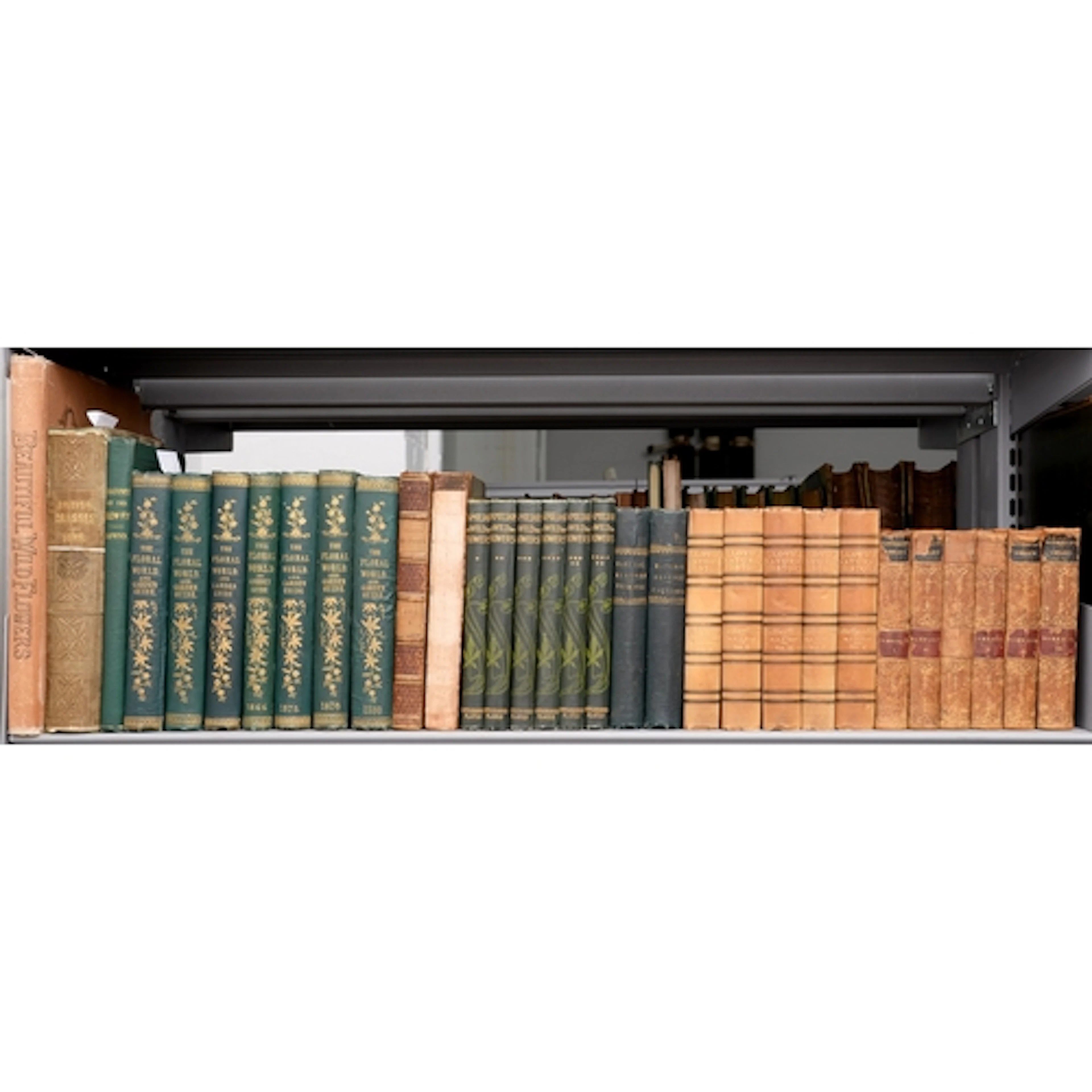 Natural History. Botany. Hibberd (Shirley, FRHS, editor) et ...