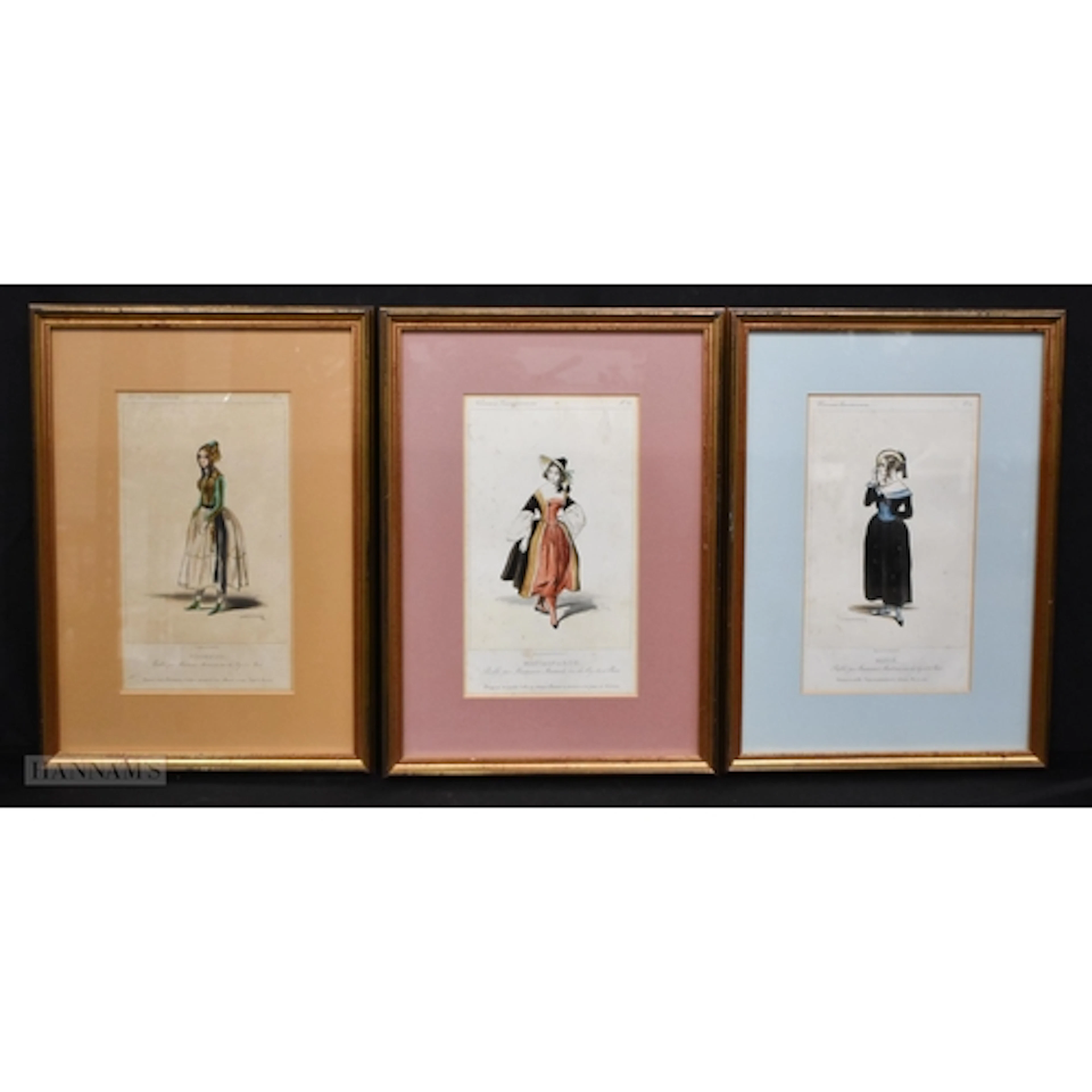 A collection of framed 19th Century coloured lithographs by ...
