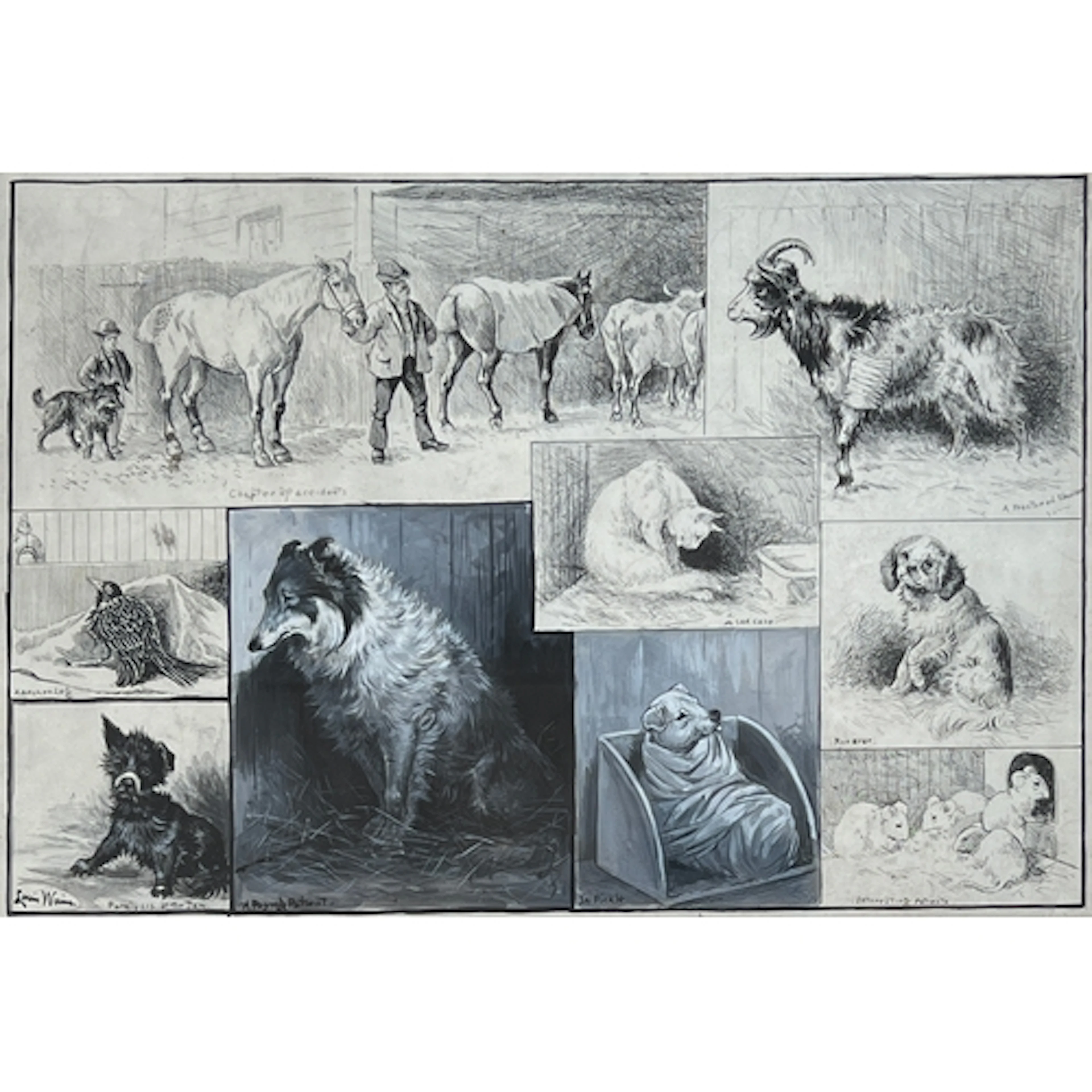 Louis Wain (1860-1939), 'The Animal's Institute', pen, ink a...