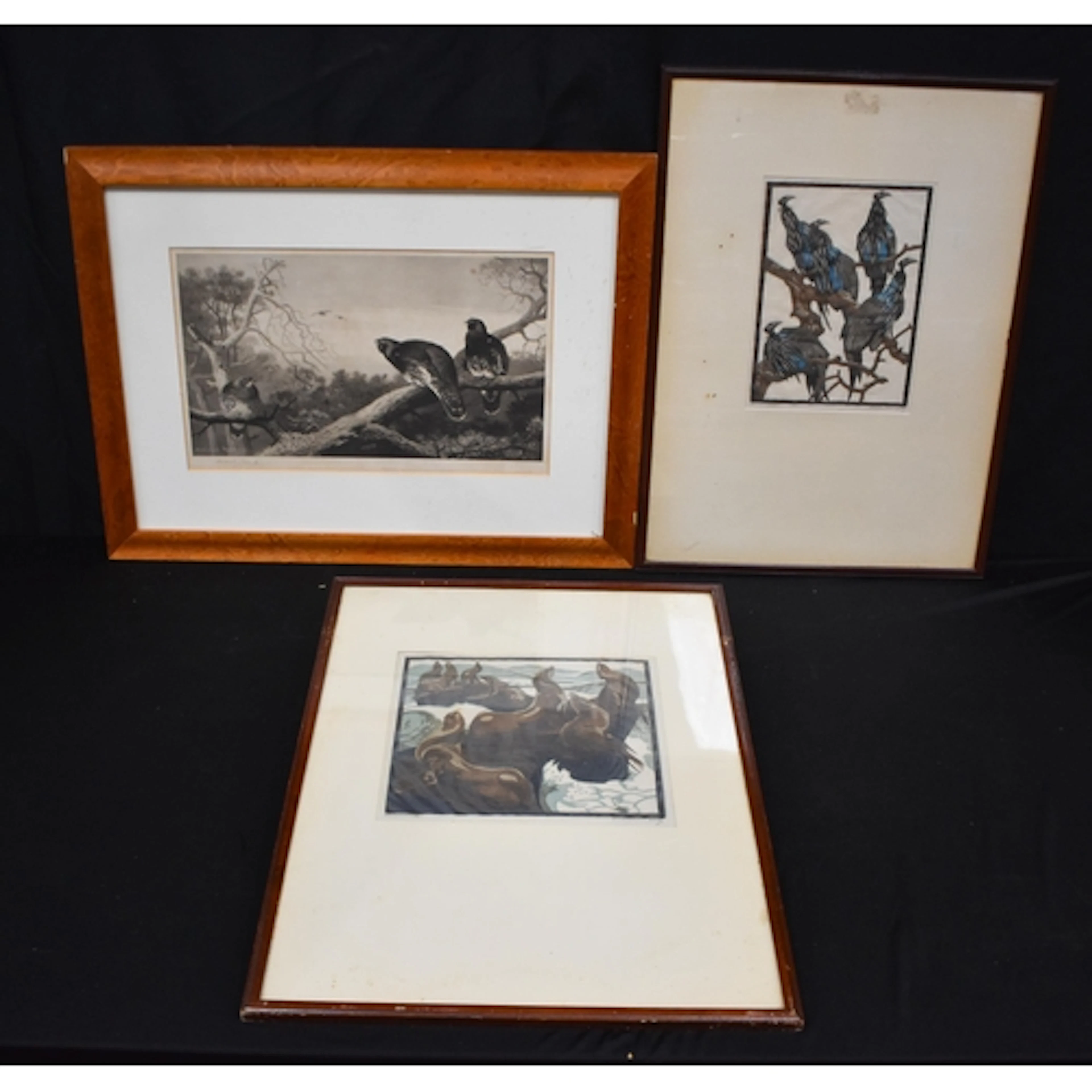 A framed print of game birds by Archibald Thorburn together ...