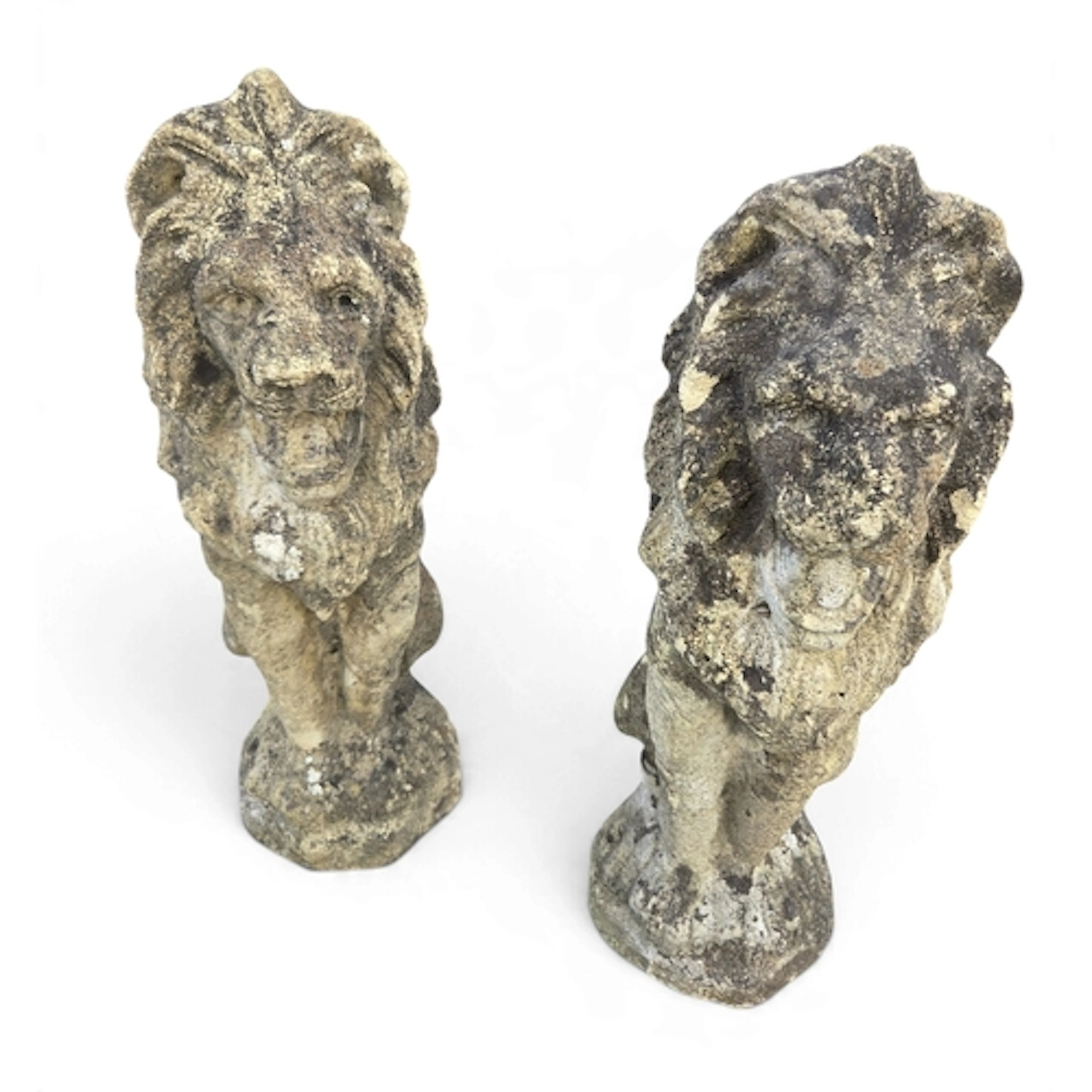 A good pair of Stone Lions. H 53 cm approx.