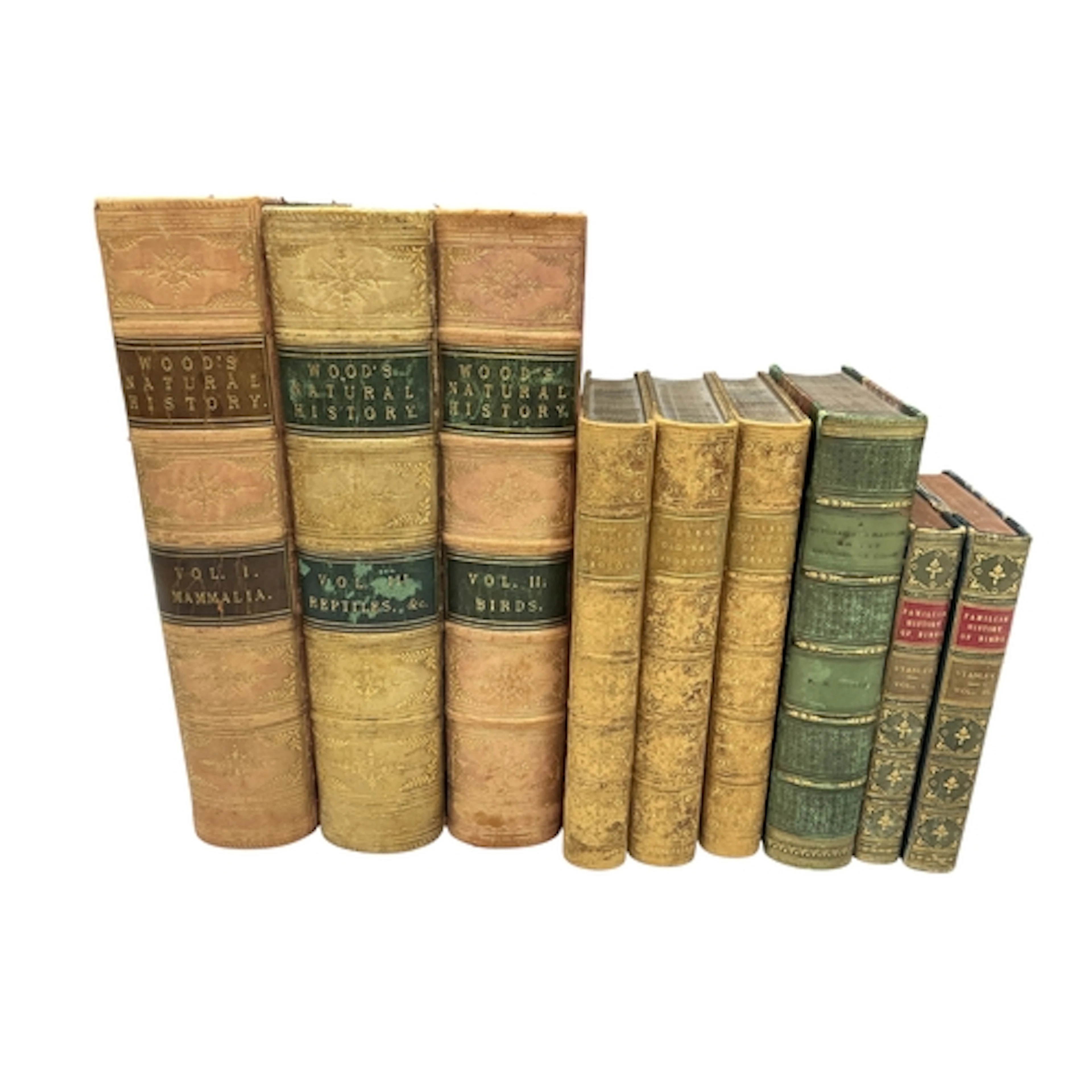° ° Natural History. Wood, J. G., The Illustrated Natural Hi...