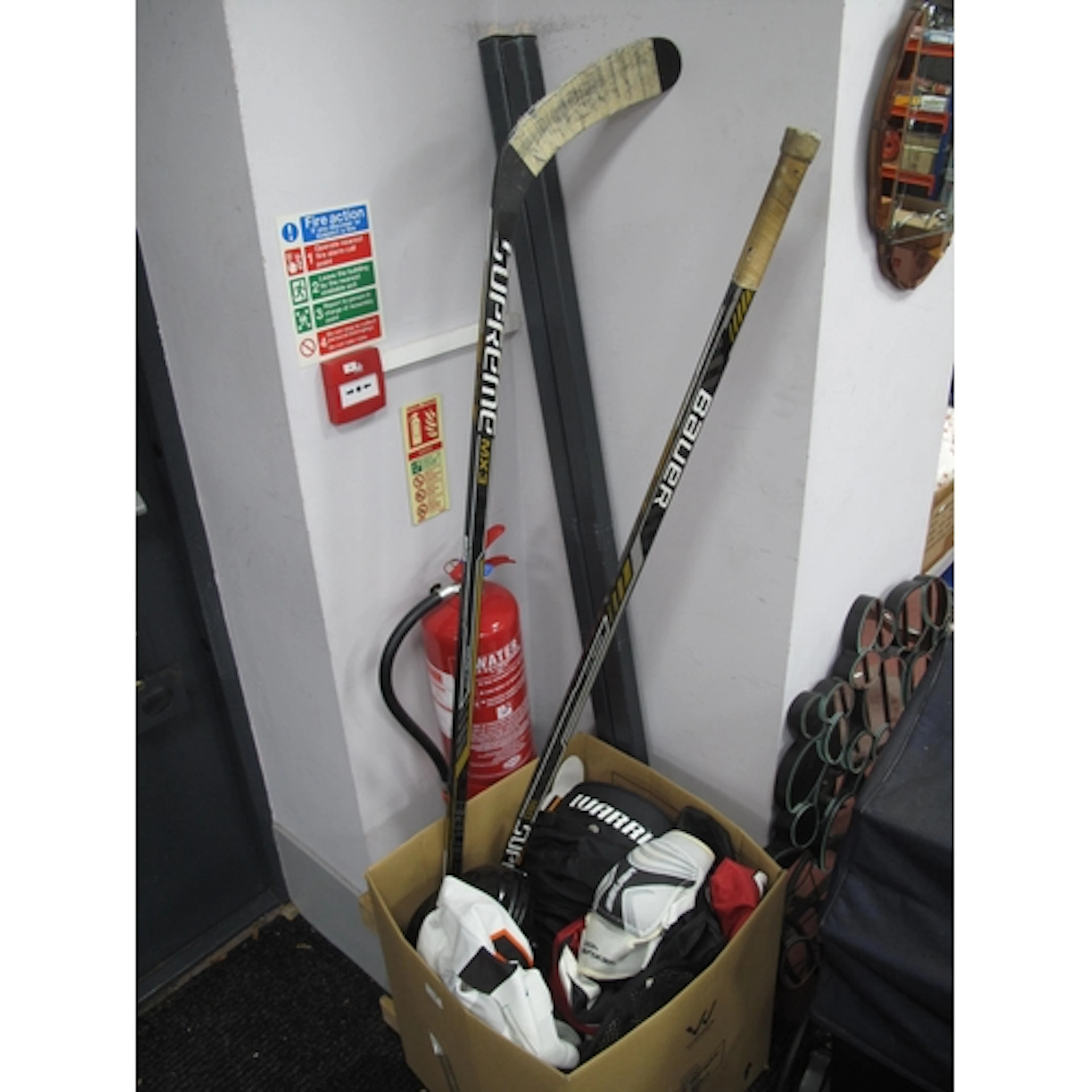 Ice Hockey - back part of Sheffield Steelers shirt 'Stafford...