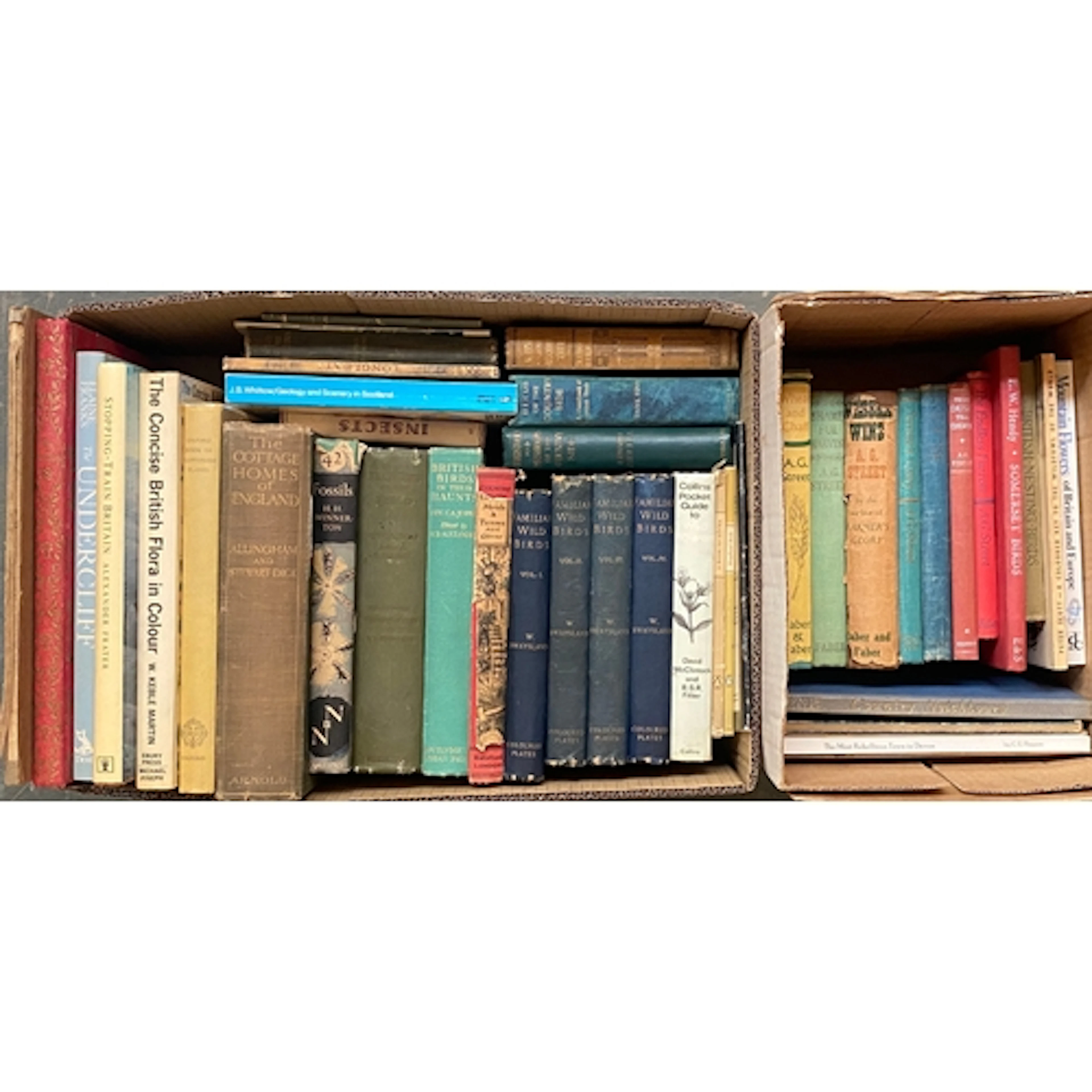 BOOKS, BRITISH NATURAL HISTORY/COUNTRYSIDE (largely). To inc...