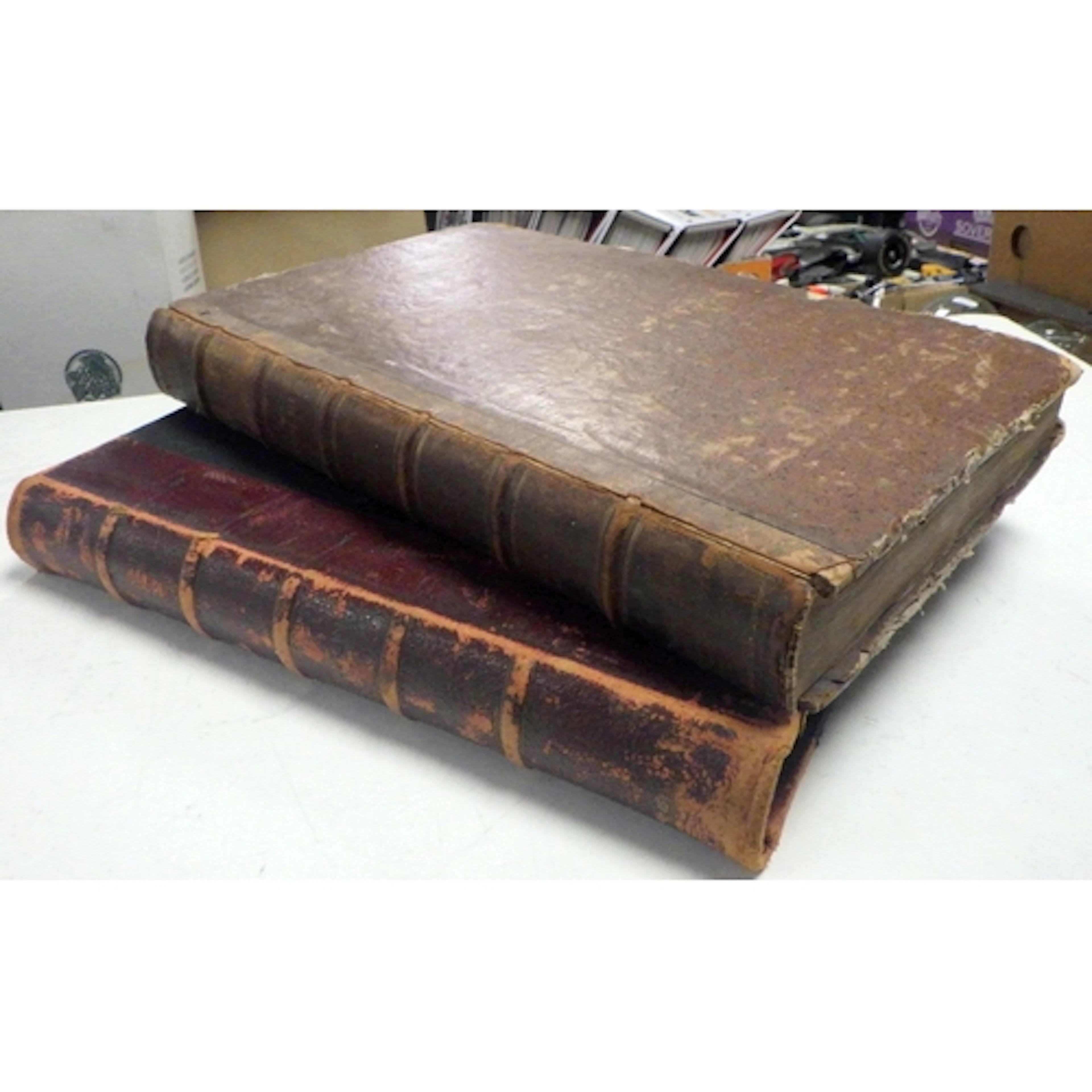 The 19C large format edition of Milton's Paradise Lost illus...