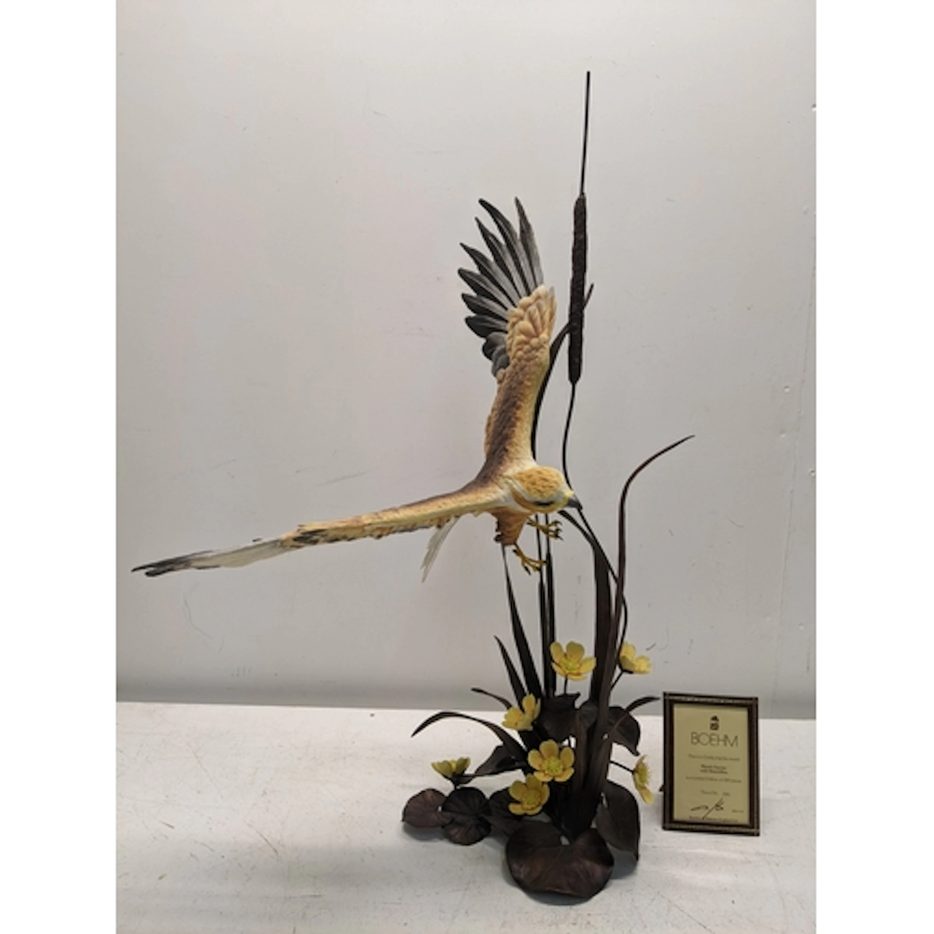 A Boehm limited edition coloured porcelain and bronze ornith...