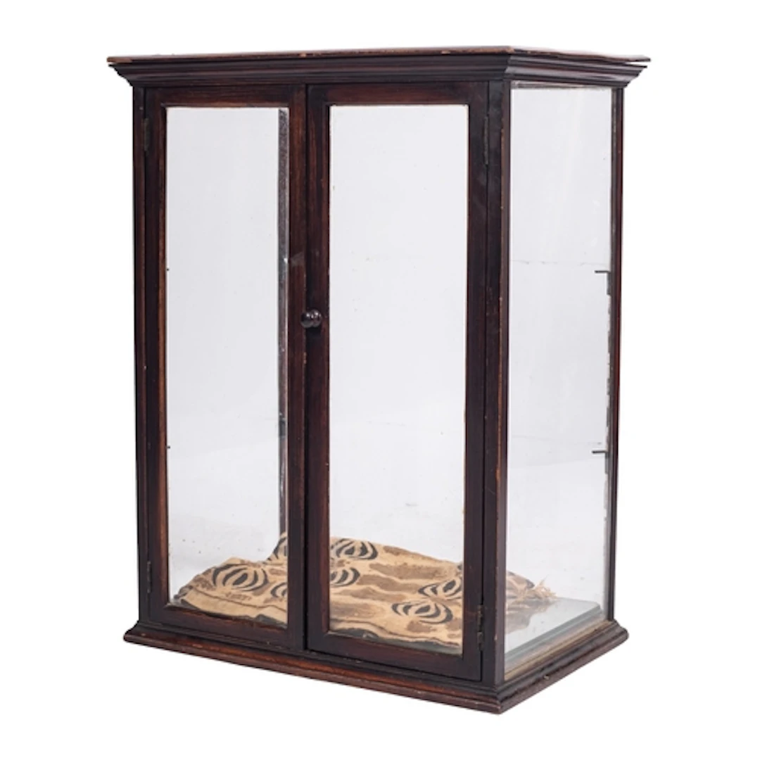 An Edwardian stained hardwood and glazed counter-top display...