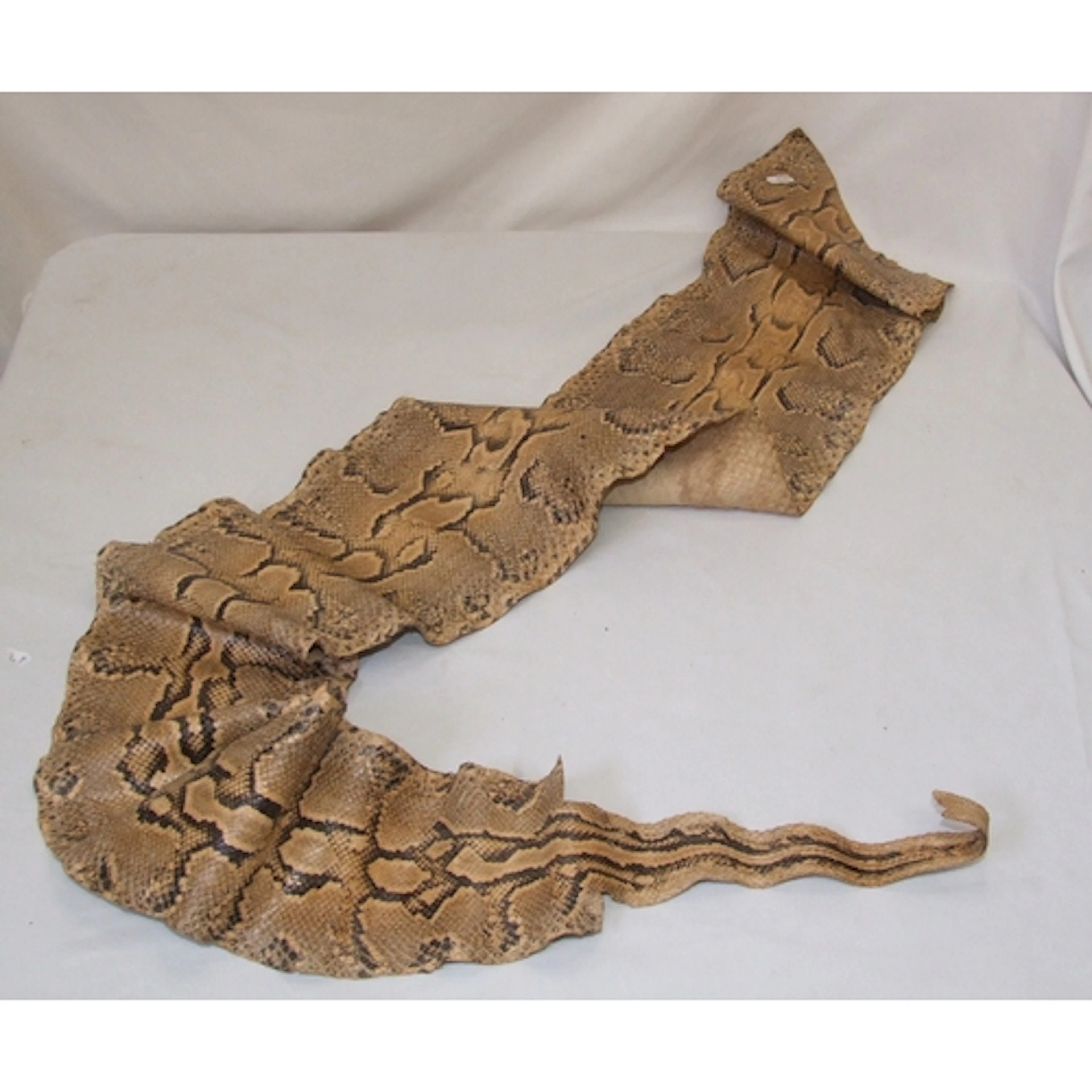 Snake Skin approx. 150cm L