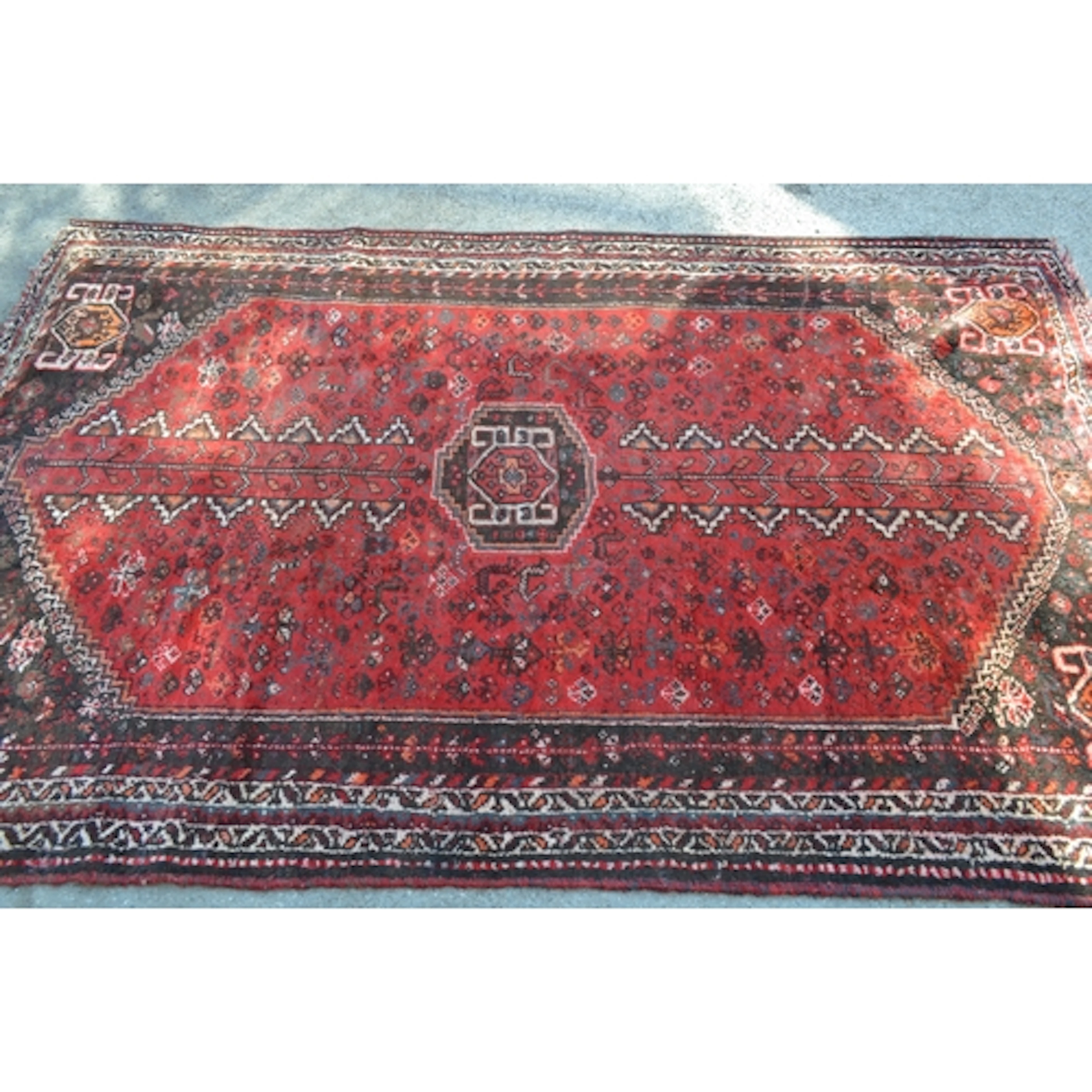 Shiraz rug having central medallion on red ground with multi...