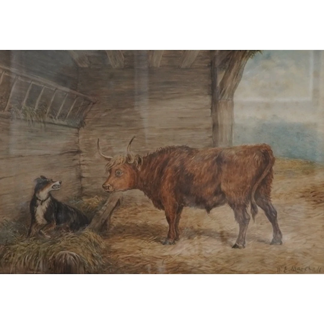 William Elstob Marshall (fl.1859-1880), Highland cow and Col...
