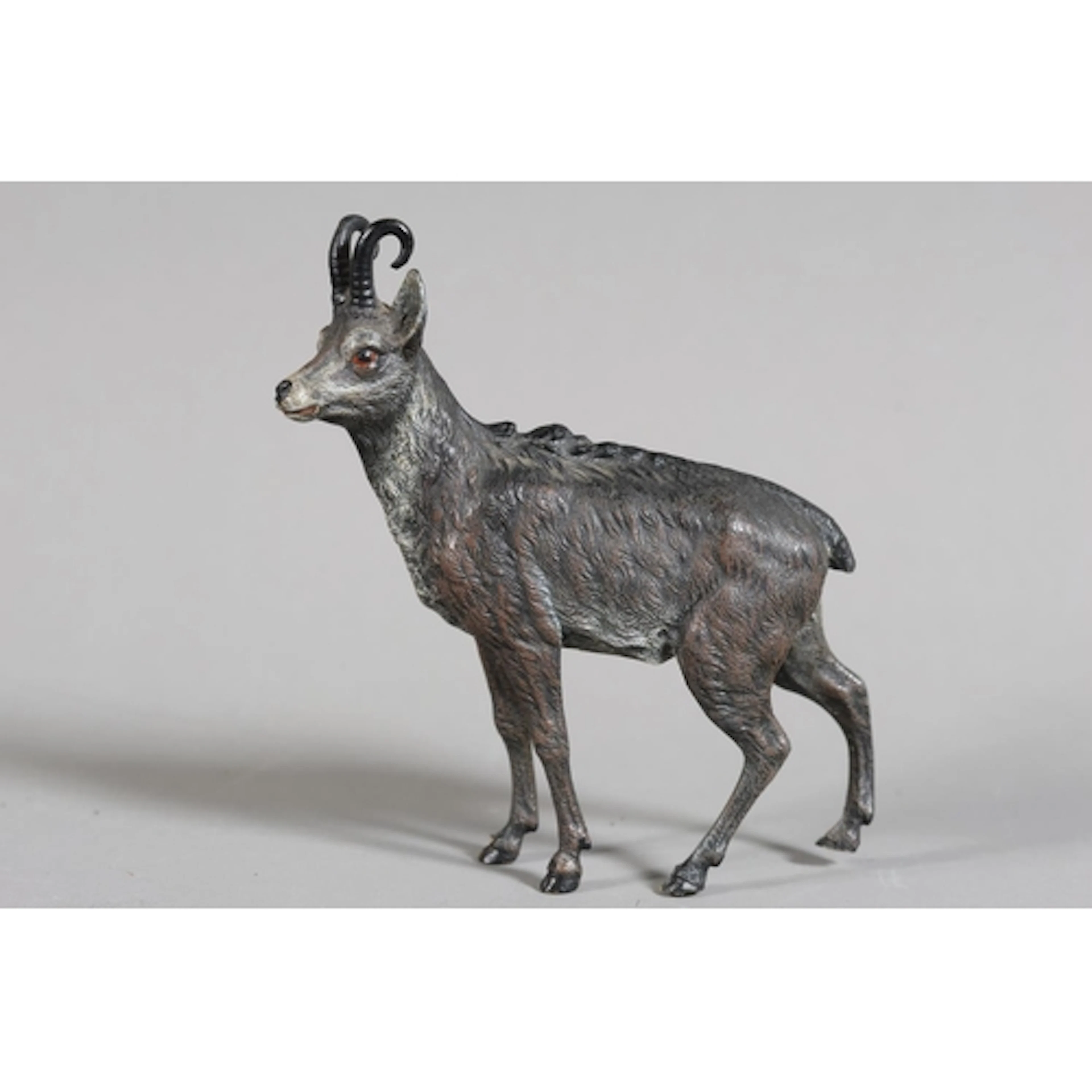 Austrian cold painted bronze of a mountain goat in the manne...