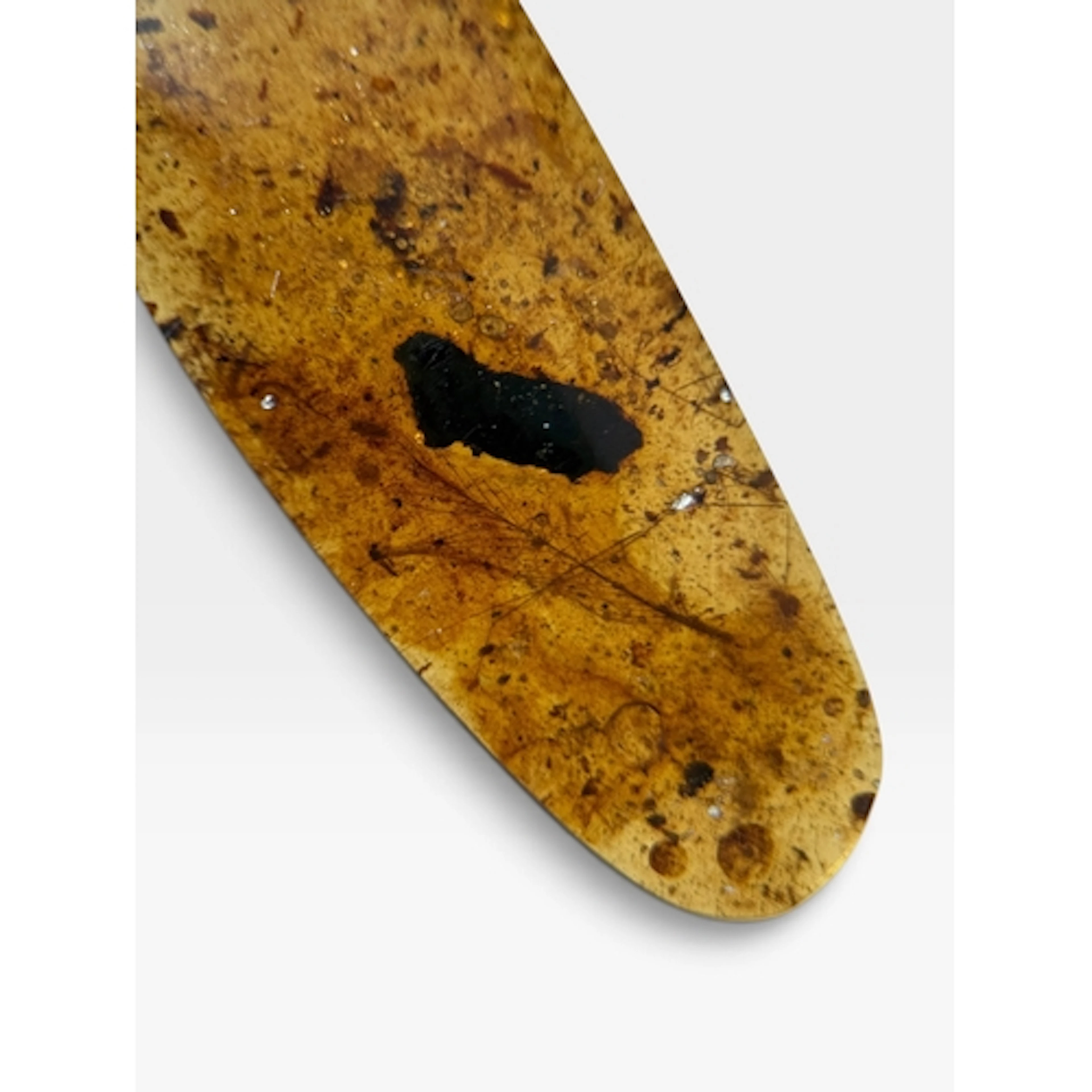 EXCEPTIONALLY RARE DINOSAUR FEATHER FOSSIL IN AMBER An excep...