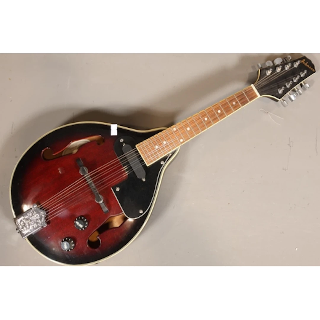 Johnson electric mandolin with f holes and black and marron ...
