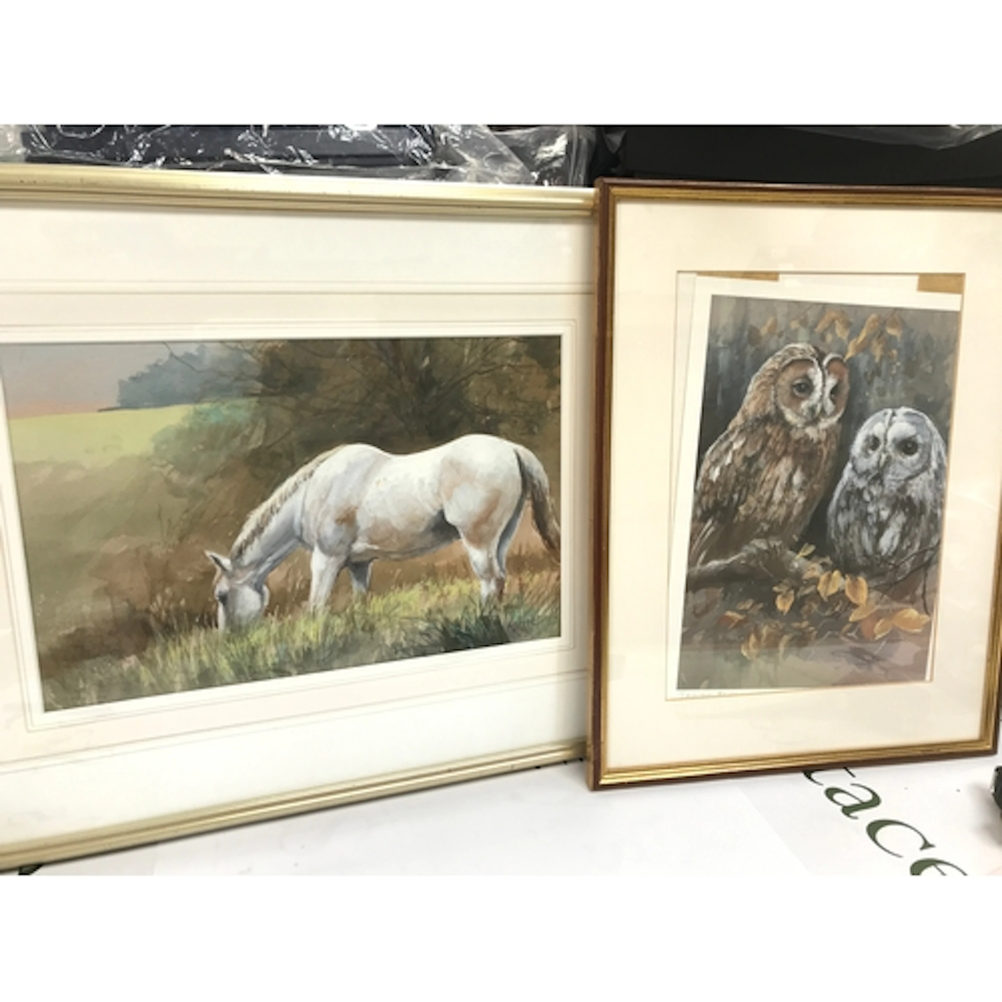 Brian Moore original horse painting and an owl print 35x45cm...