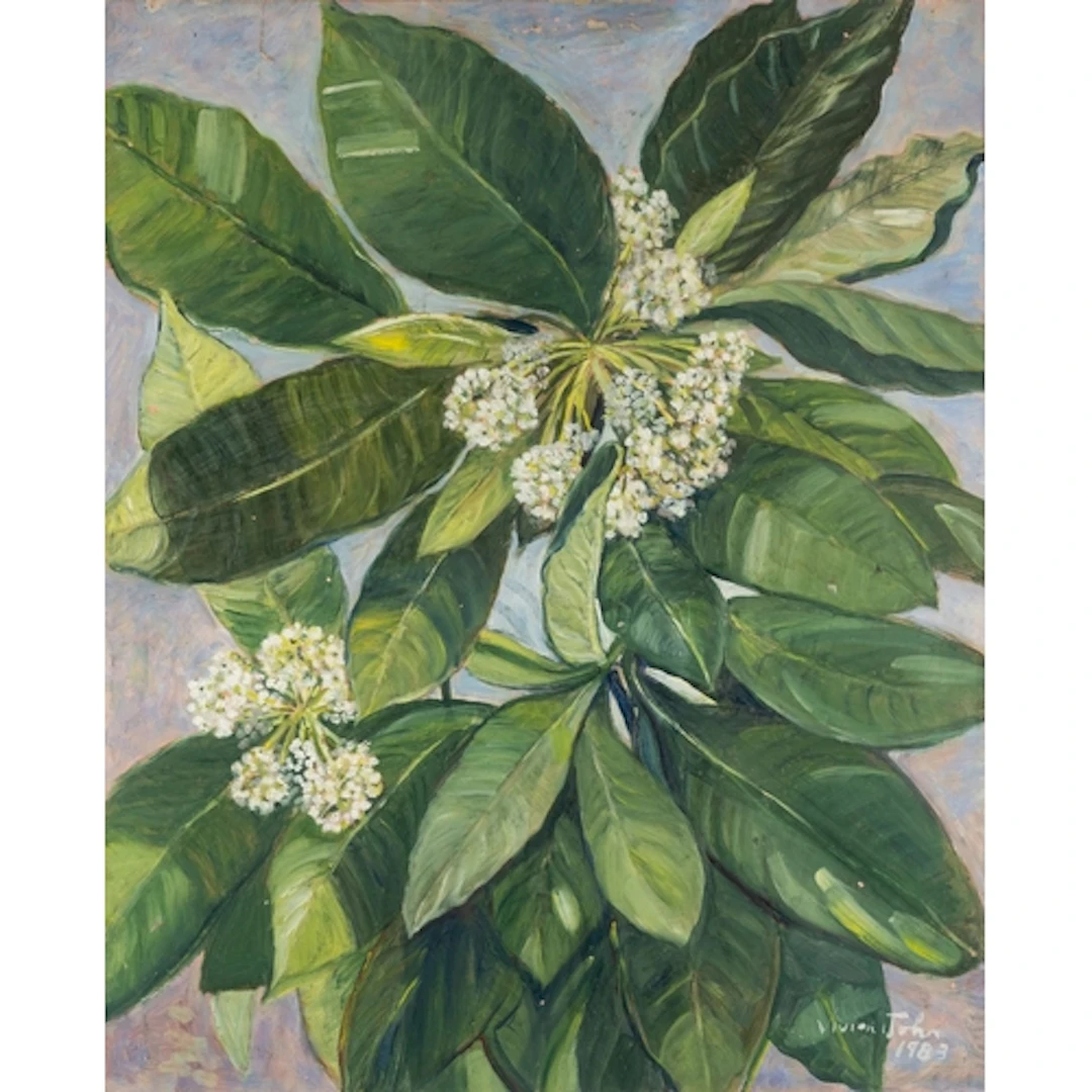 Vivien John (British, 1914-1994) - Blossoms from a Blackboa...