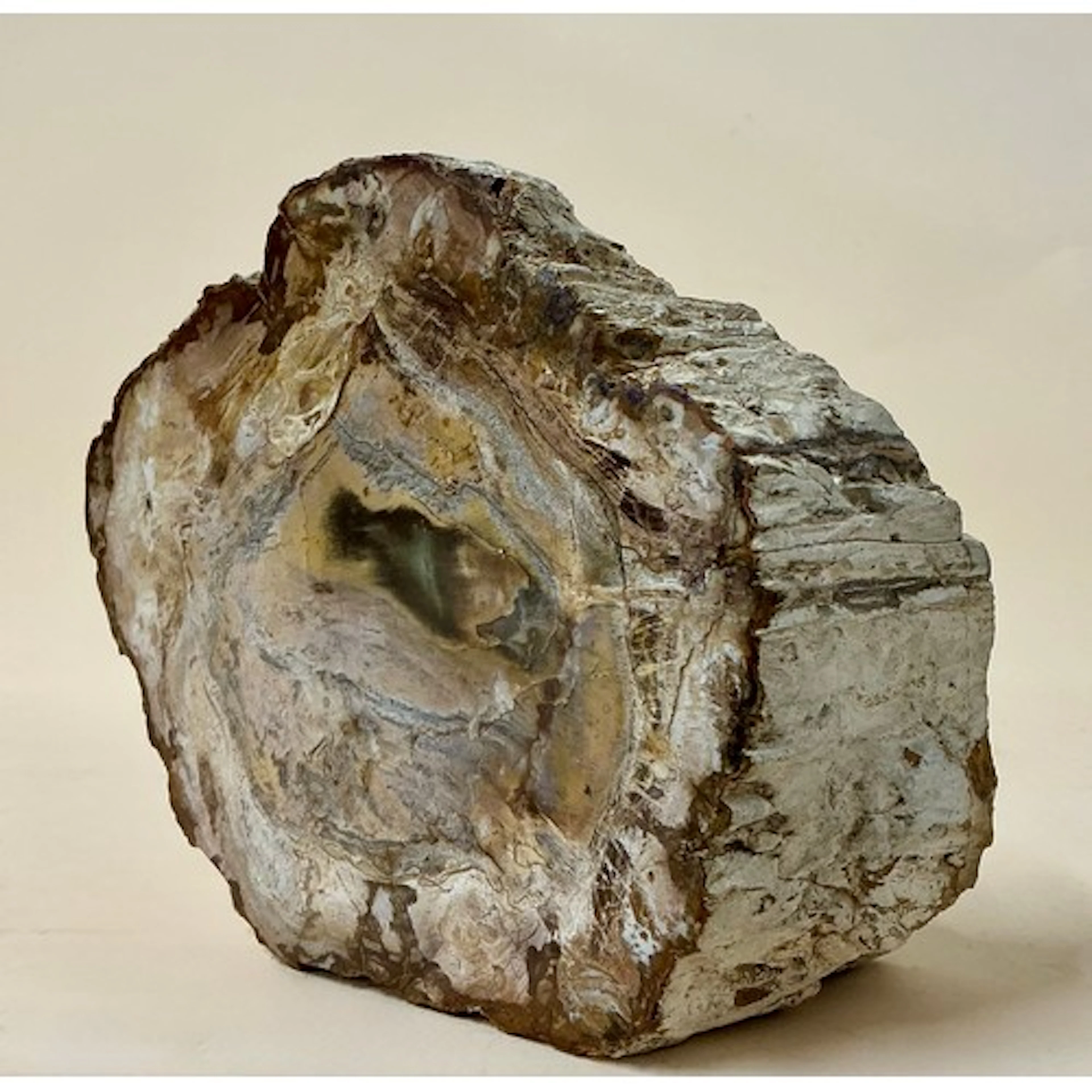 A Madagascan petrified wood specimen, quartz geode core, 18c...