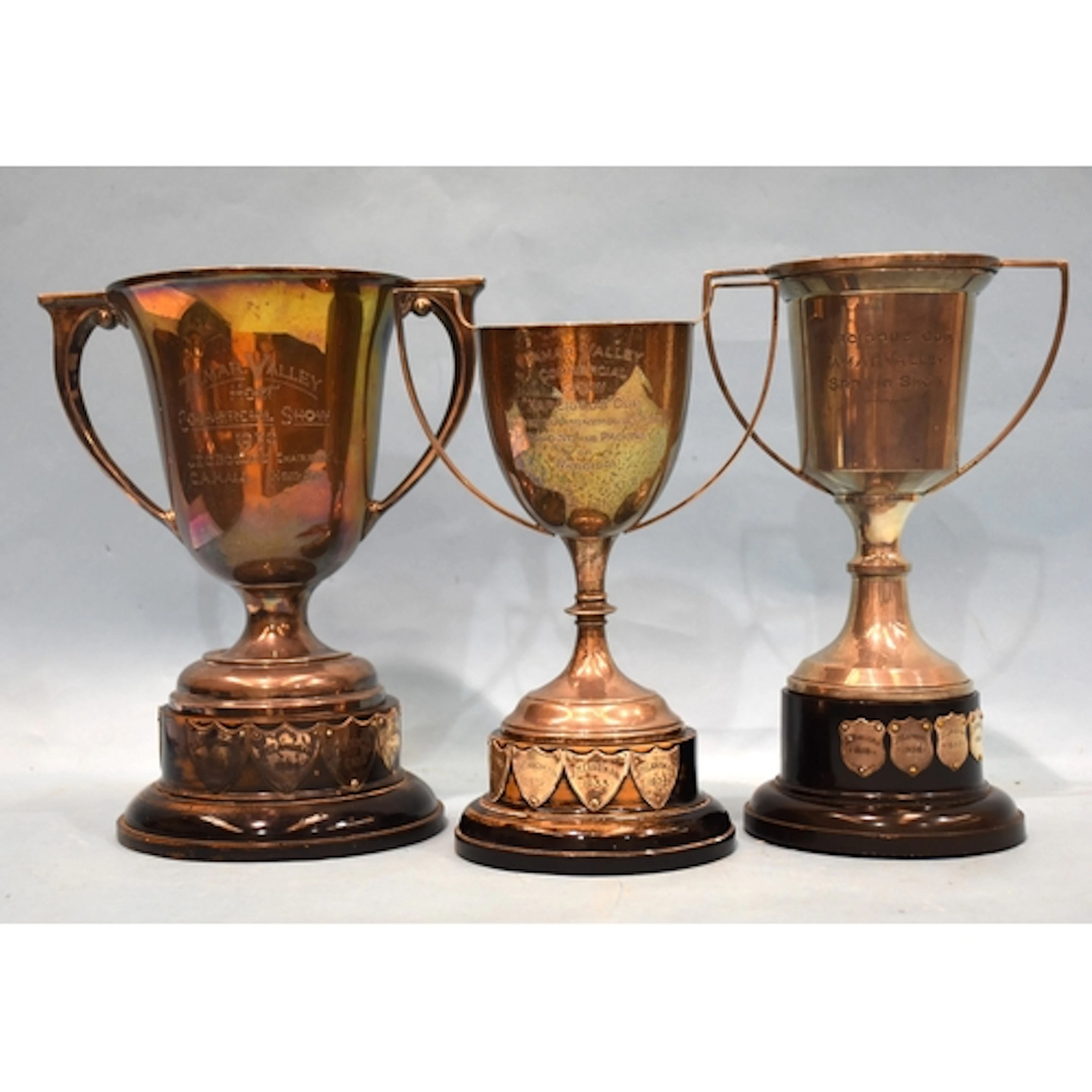 A George V silver two-handled trophy cup engraved Tamar Vall...