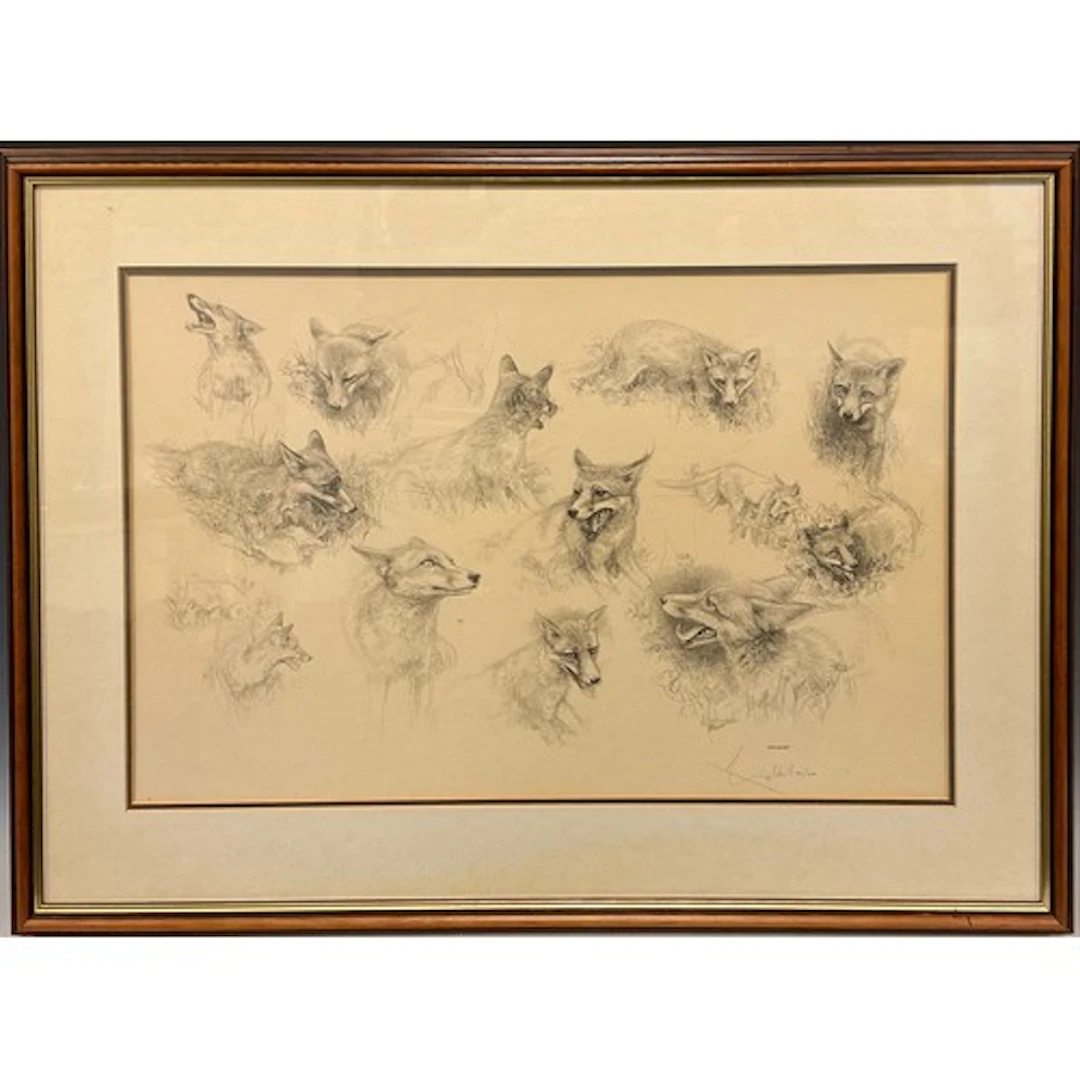 William Geldart (bn. 1936) Foxes, studies from nature sign...