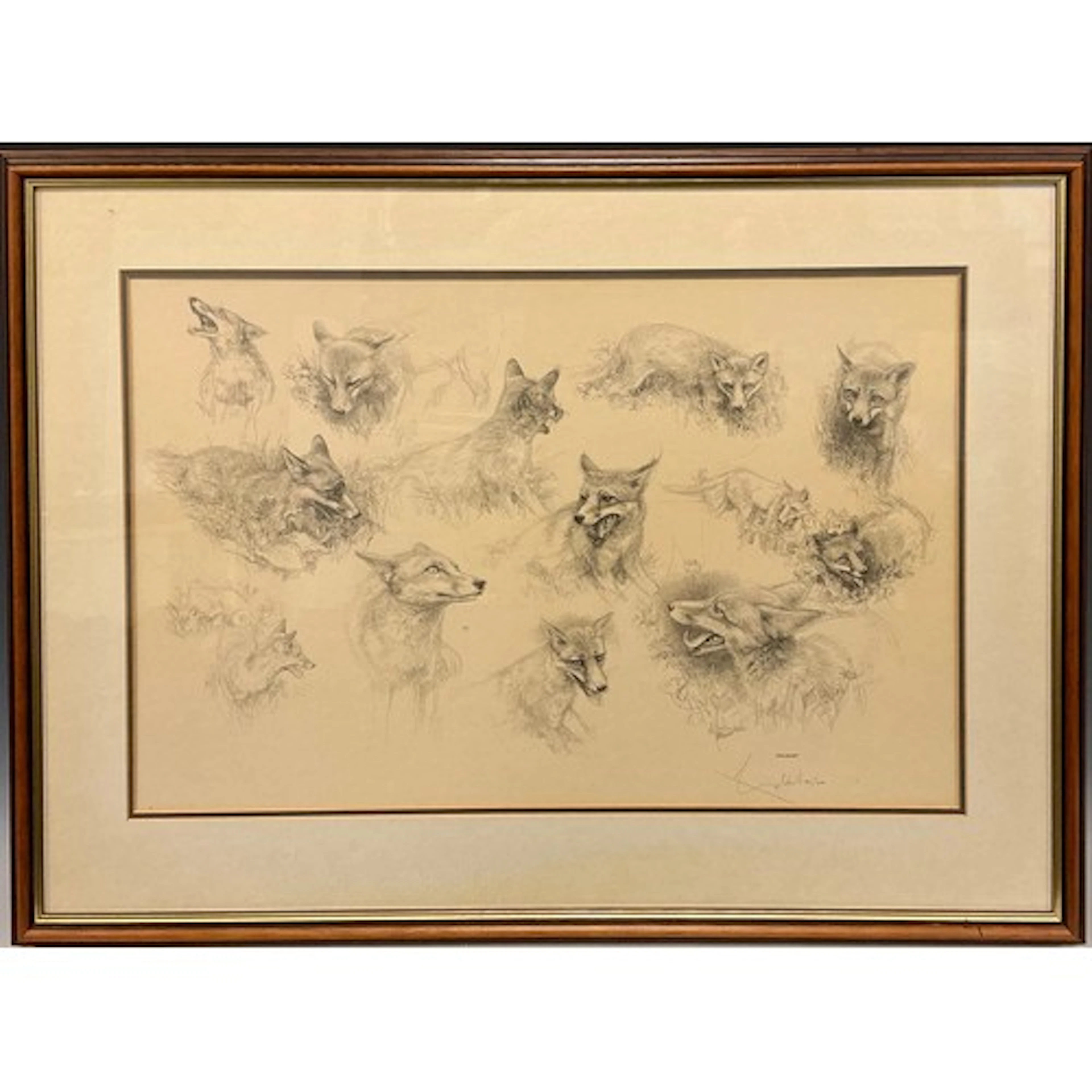 William Geldart (bn. 1936) Foxes, studies from nature sign...