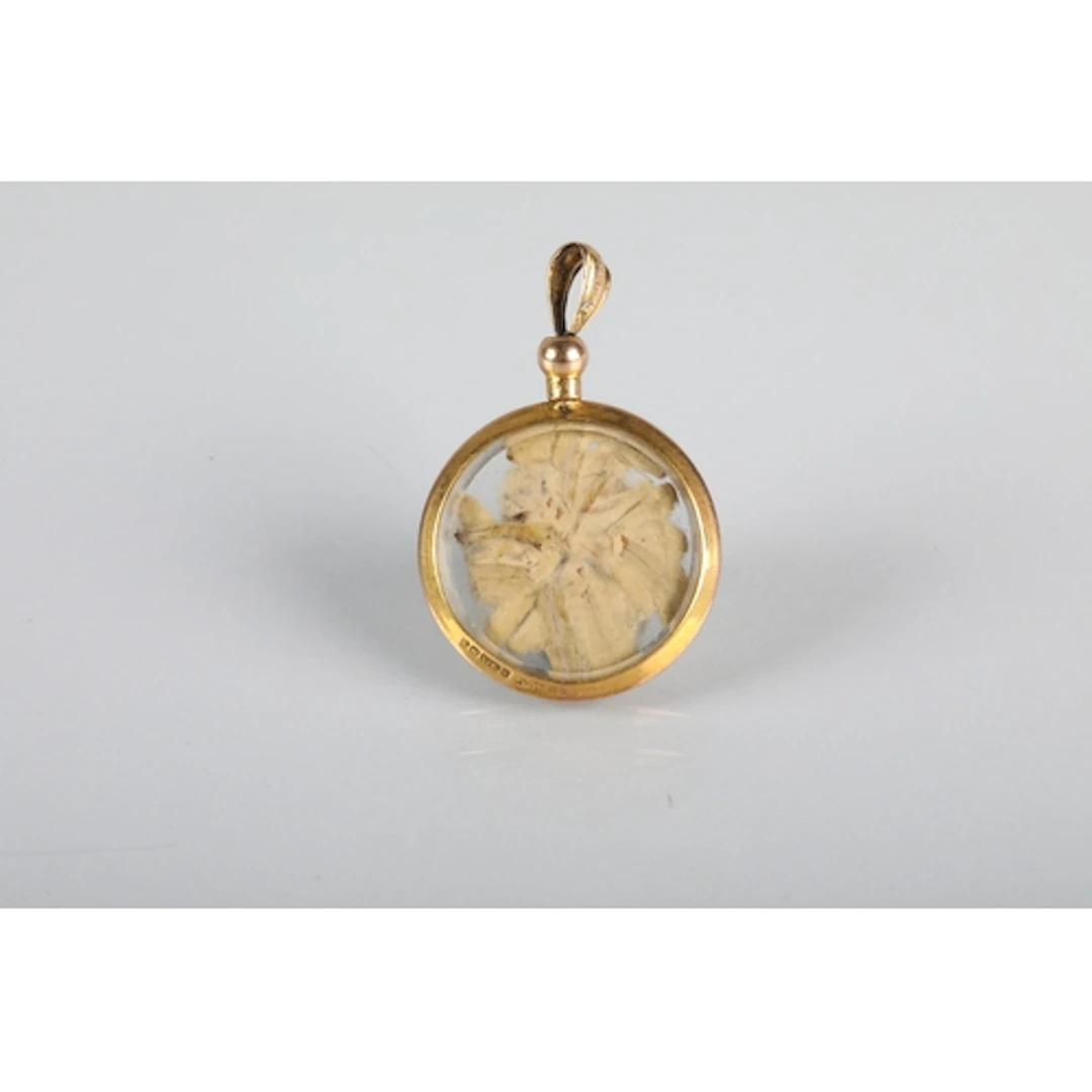 9ct gold mounted pendant.